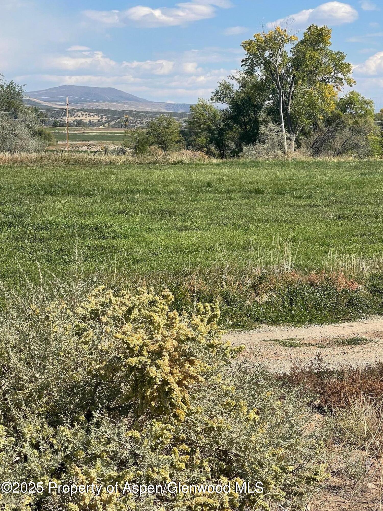 Tbd 3300 Road Hotchkiss CO 81419