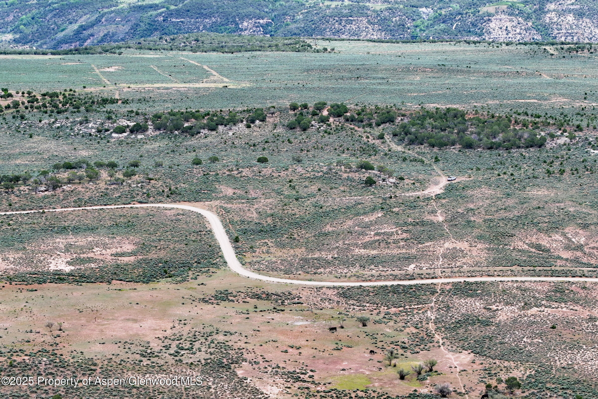 Tbd Tbd 40 Acres Mesa CO 81643