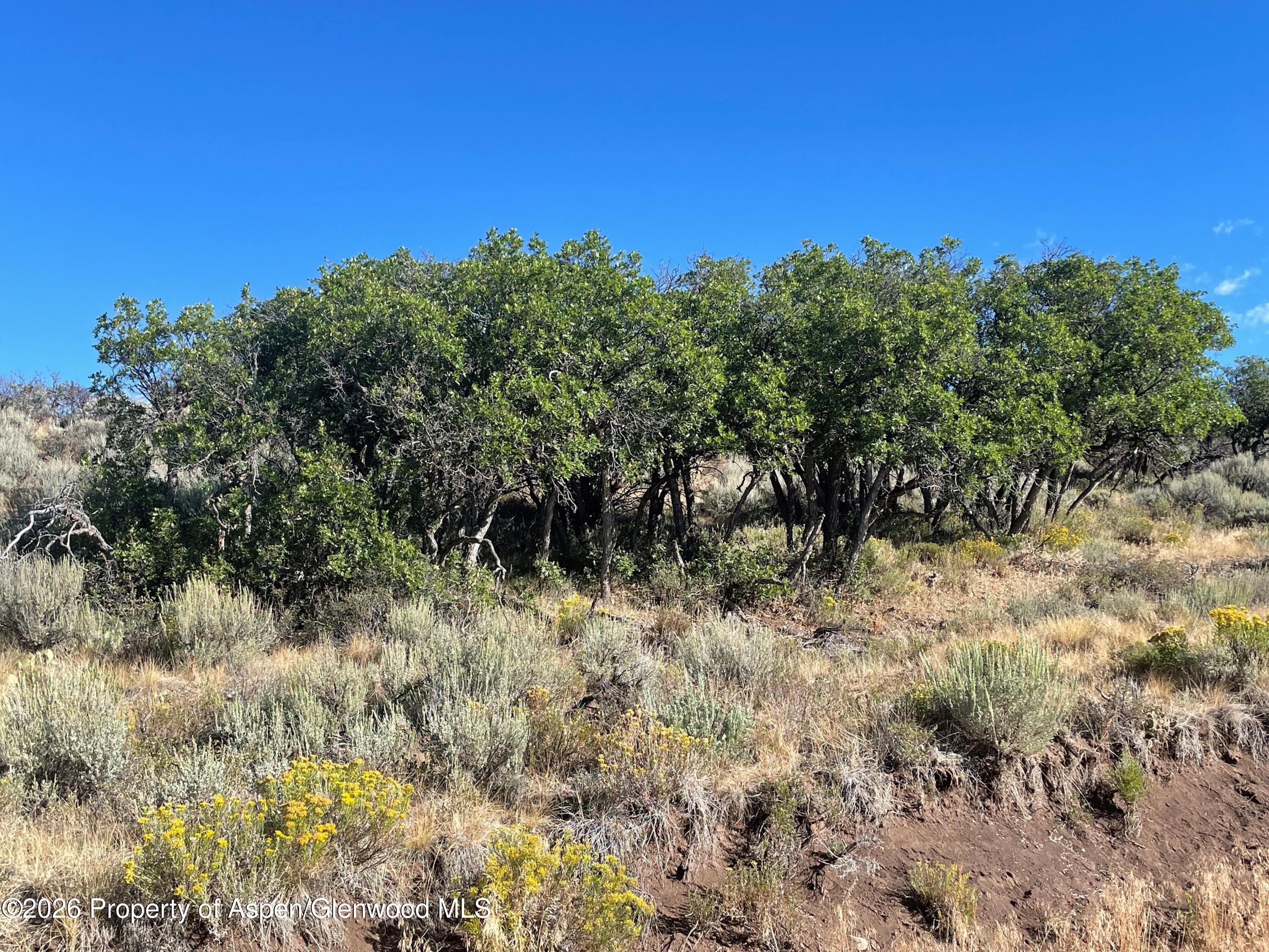 380 Ten Peaks Mesa Road Carbondale CO 81623