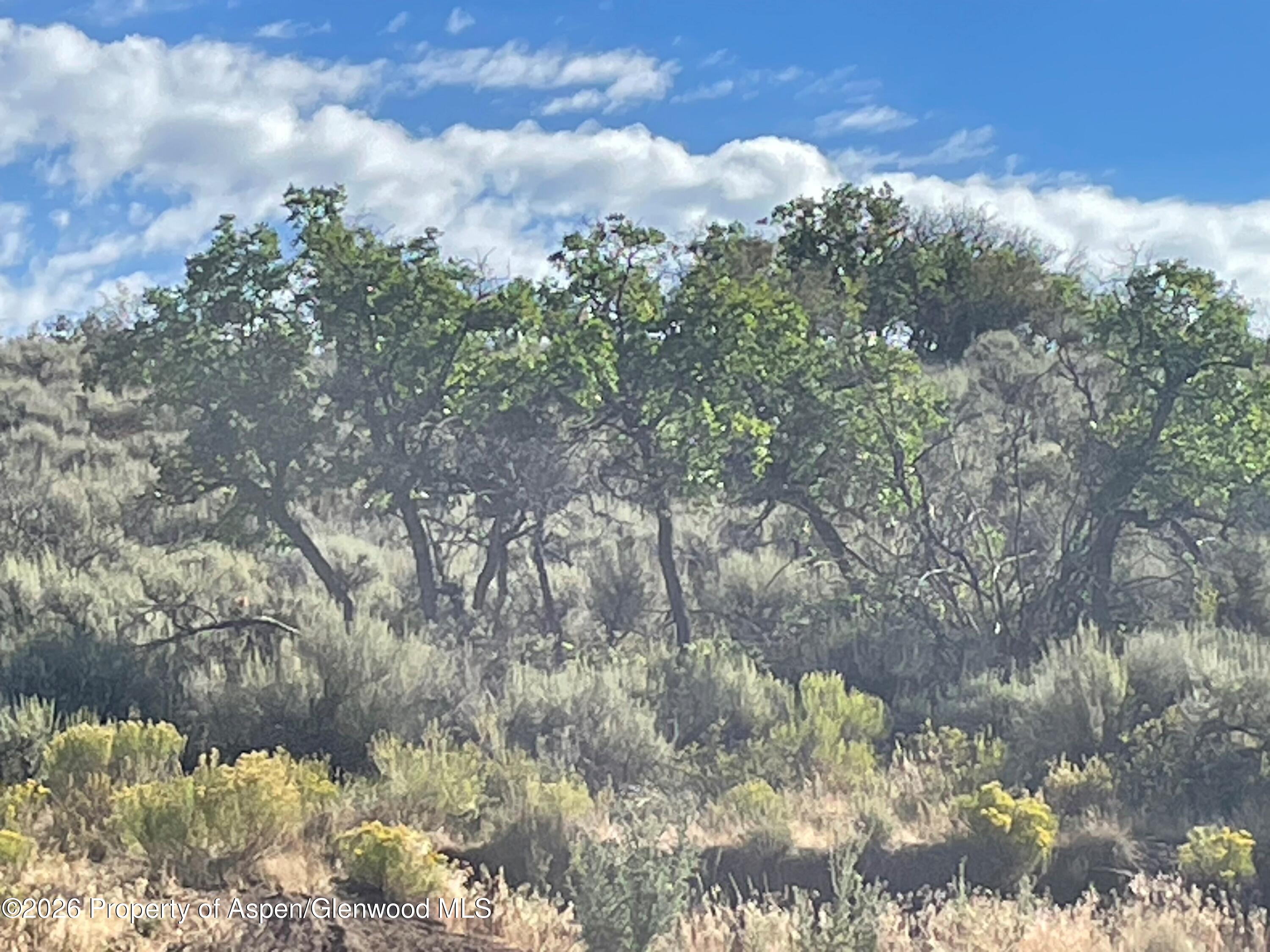 380 Ten Peaks Mesa Road Carbondale CO 81623