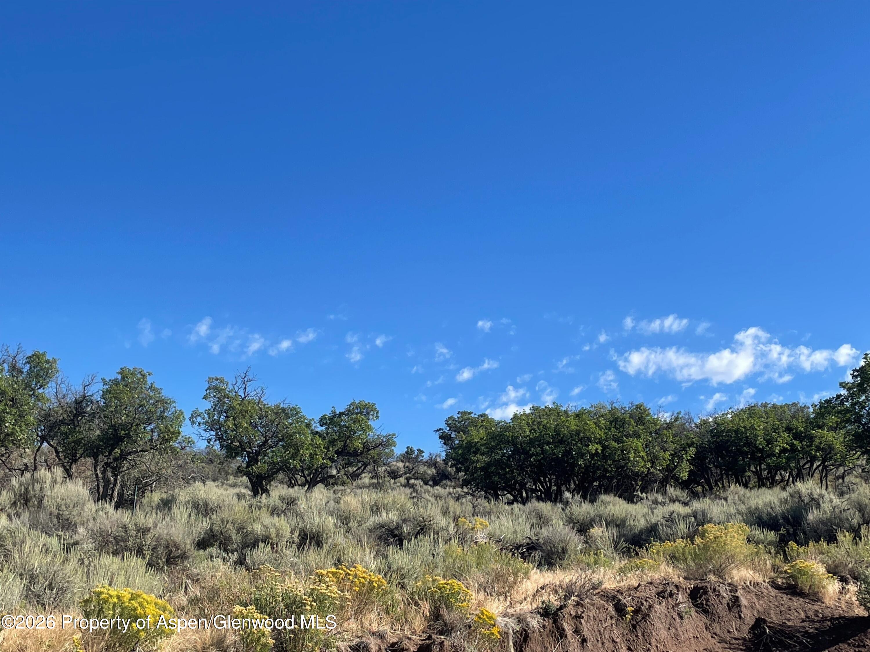 380 Ten Peaks Mesa Road Carbondale CO 81623