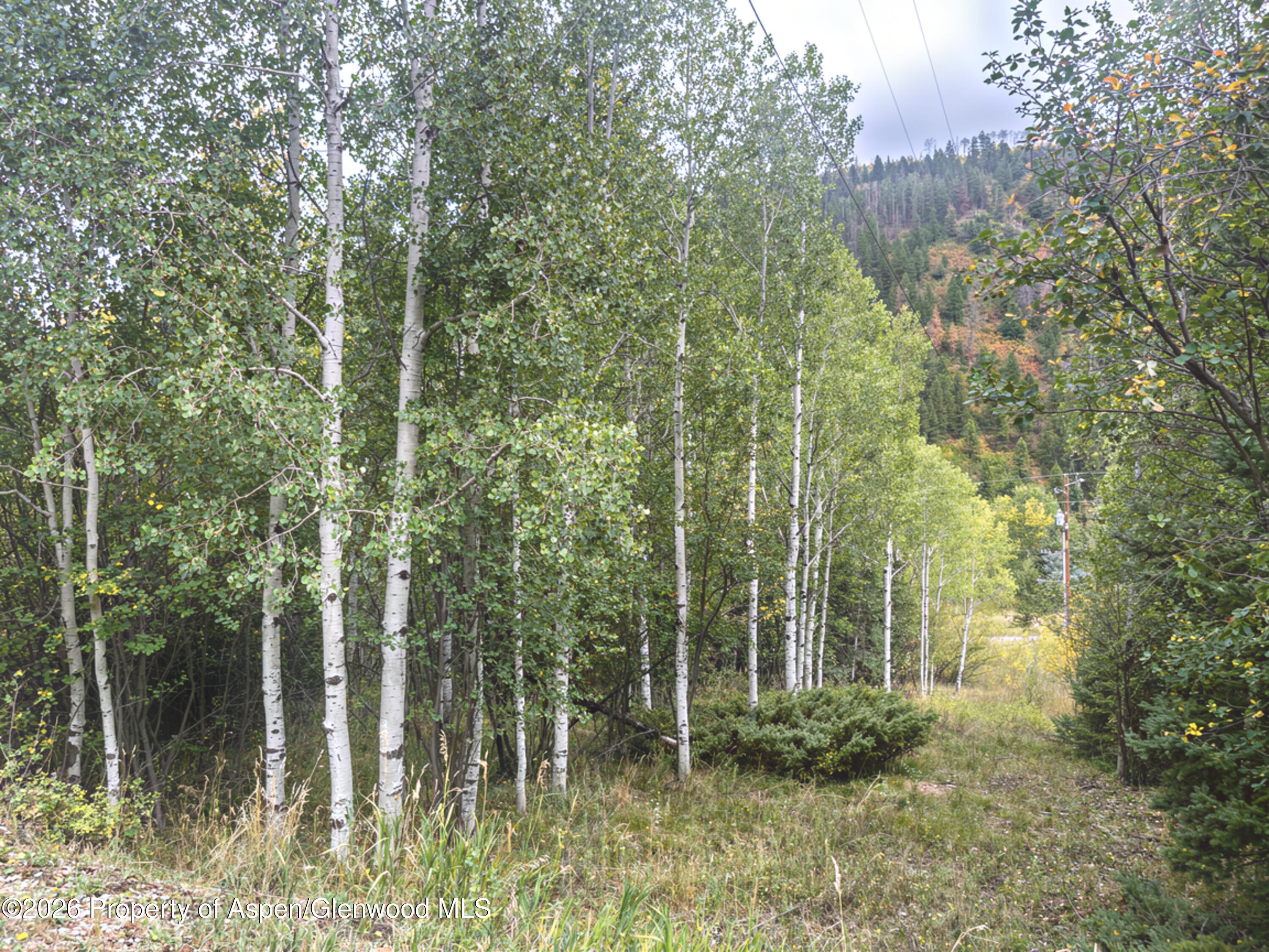 62 Aspen Street Redstone CO 81623