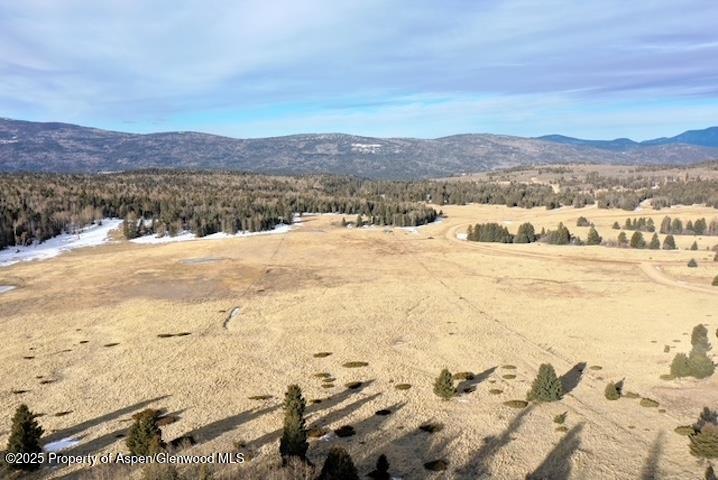 49 Acres Off El Camino Real Angel Fire NM 87710