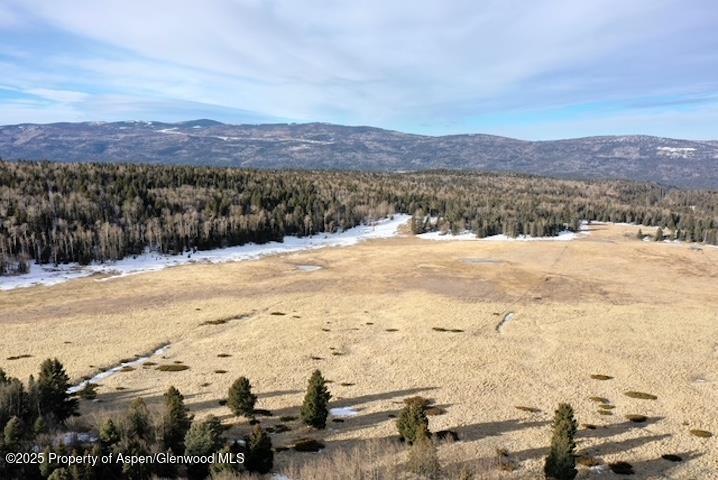 49 Acres Off El Camino Real Angel Fire NM 87710