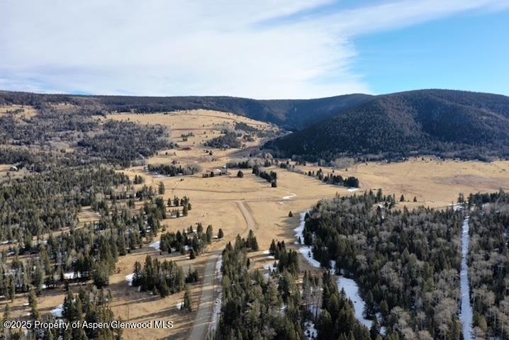 49 Acres Off El Camino Real Angel Fire NM 87710