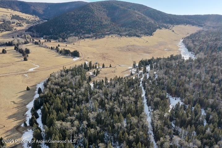 49 Acres Off El Camino Real Angel Fire NM 87710