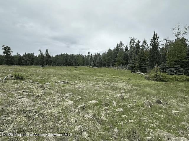 49 Acres Off El Camino Real Angel Fire NM 87710