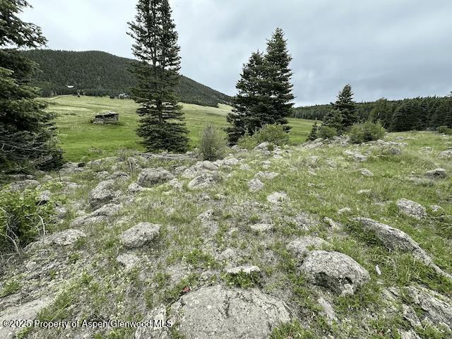 49 Acres Off El Camino Real Angel Fire NM 87710