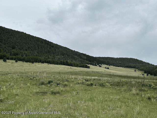 49 Acres Off El Camino Real Angel Fire NM 87710