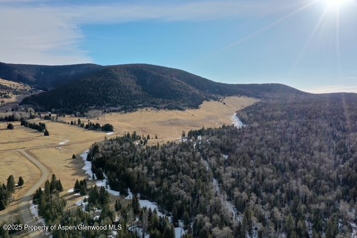 49 Acres Off El Camino Real Angel Fire NM 87710