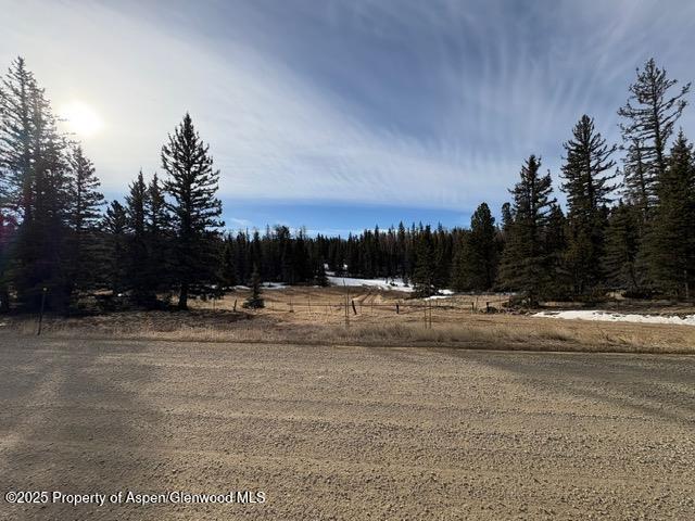 49 Acres Off El Camino Real Angel Fire NM 87710