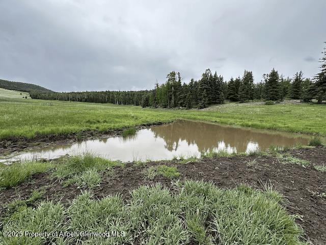 49 Acres Off El Camino Real Angel Fire NM 87710