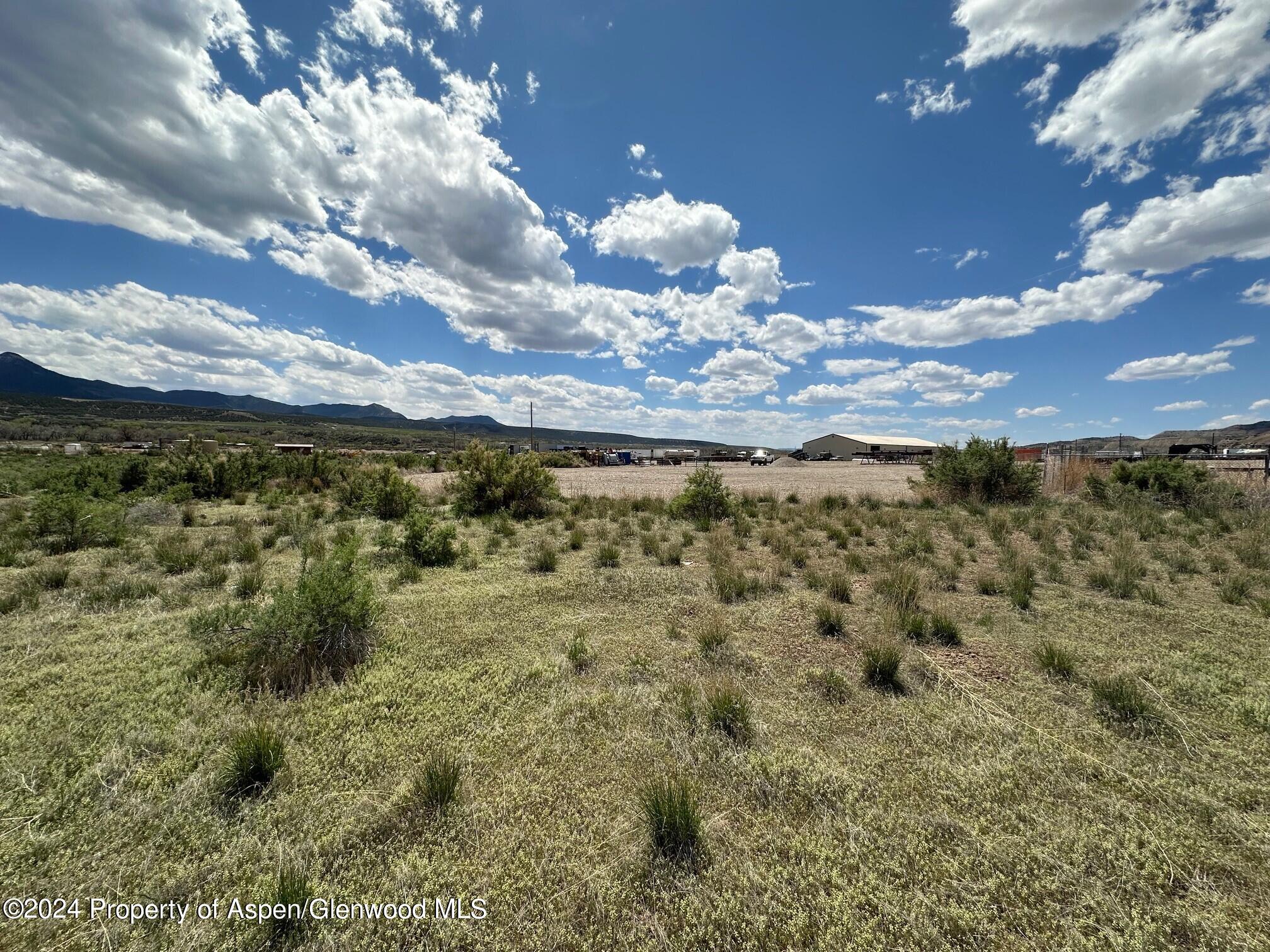 Tbd Buds Way Parachute CO 81635