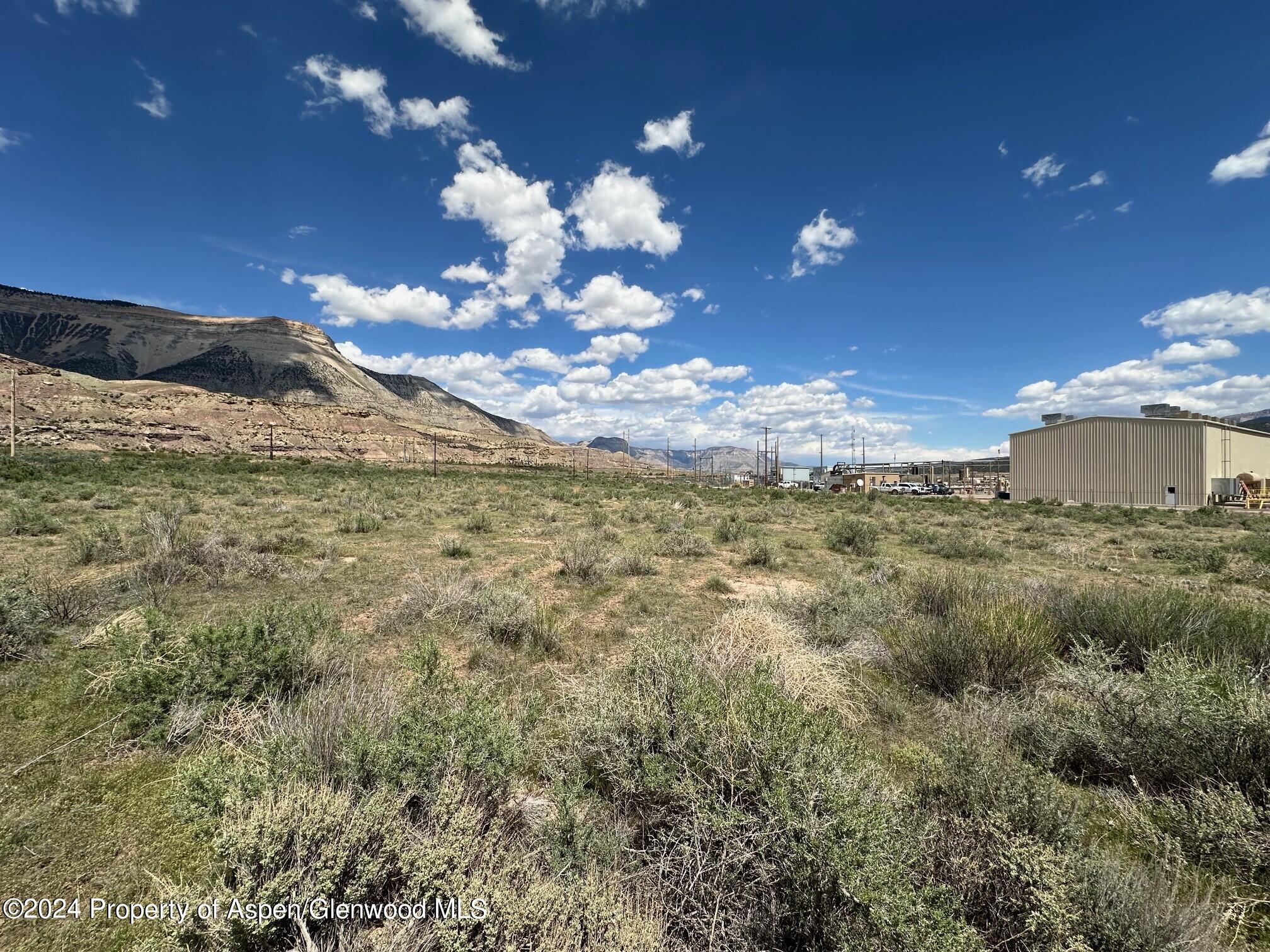 Tbd Buds Way Parachute CO 81635