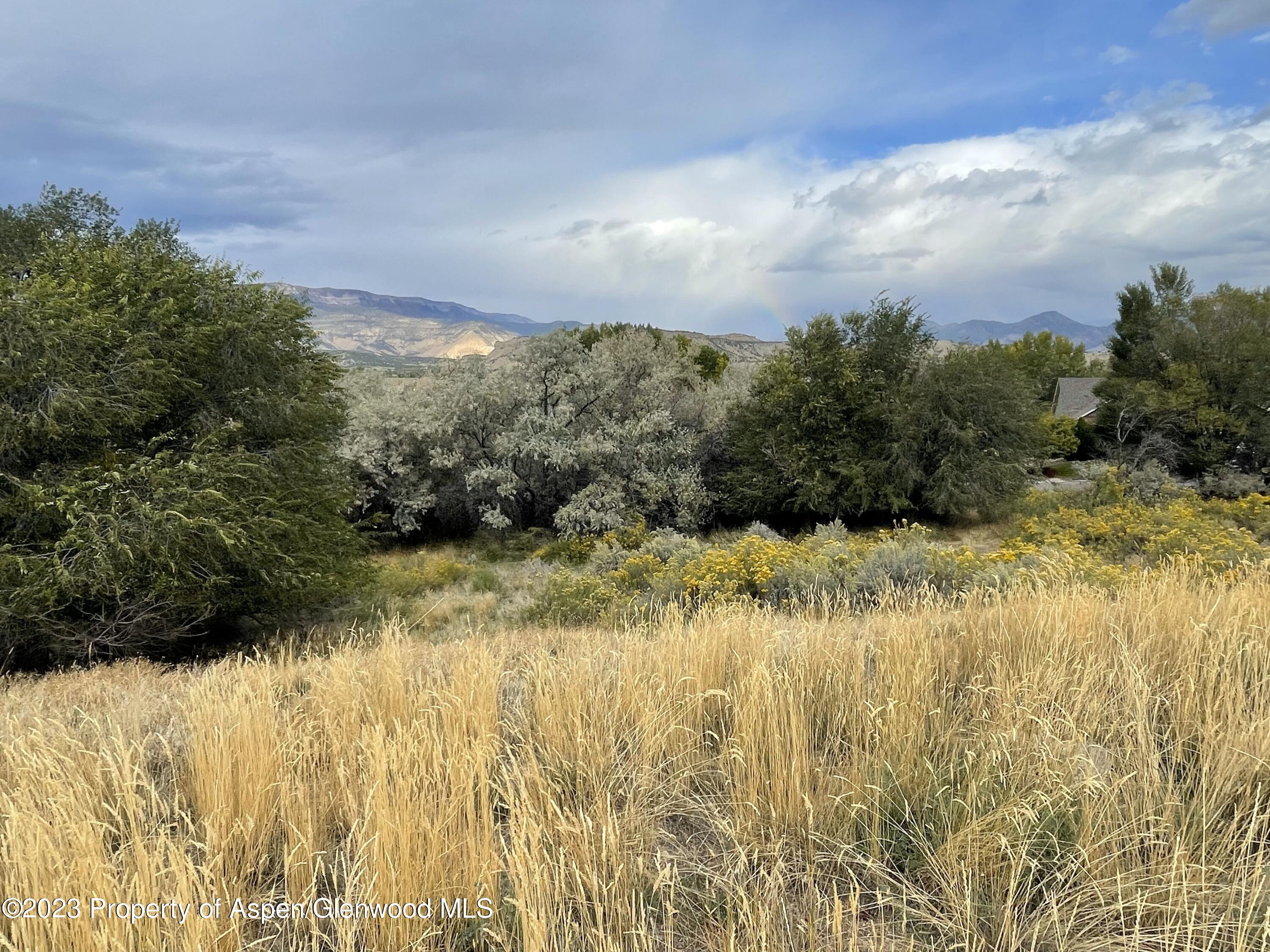 1375 Munro Avenue Rifle CO 81650