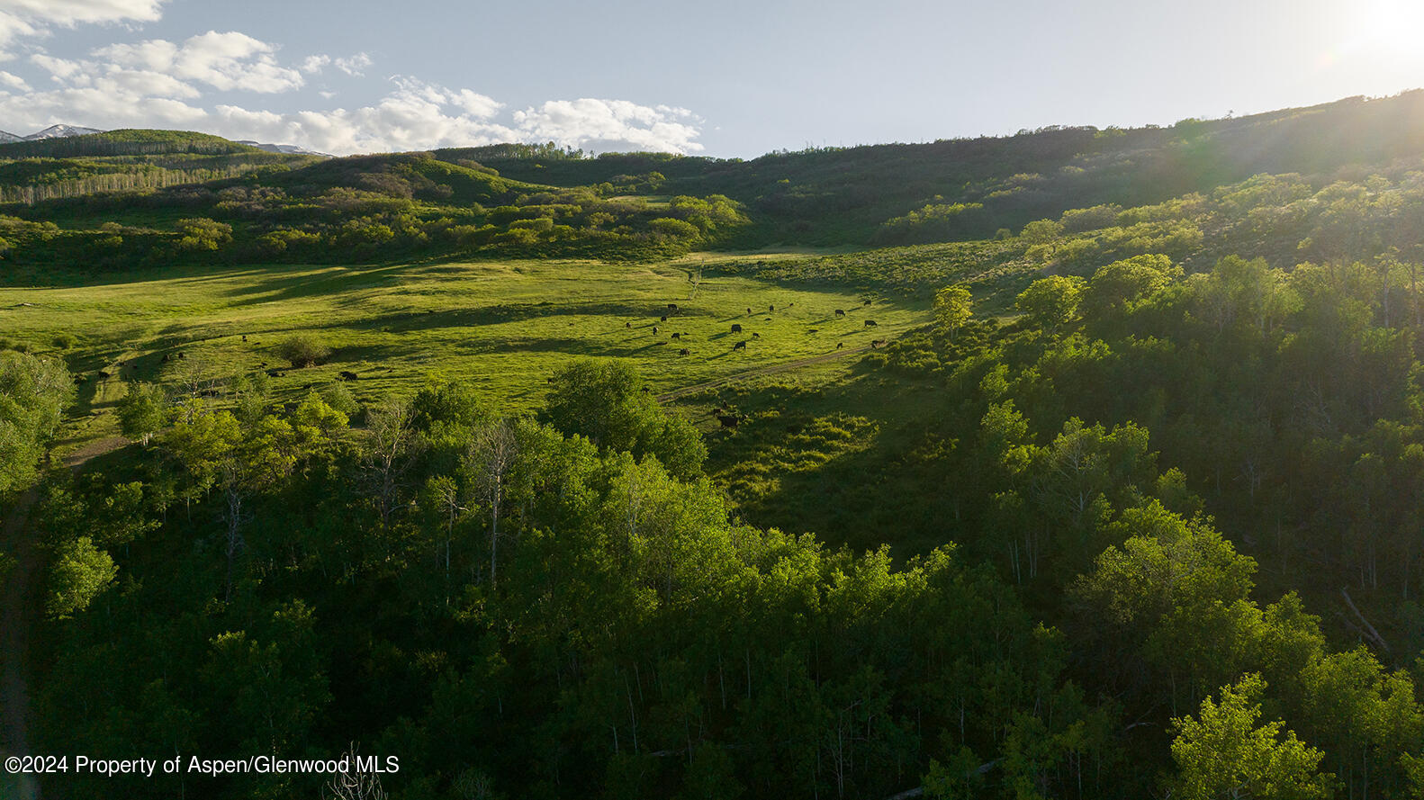 1012 Monastery Road Snowmass CO 81654