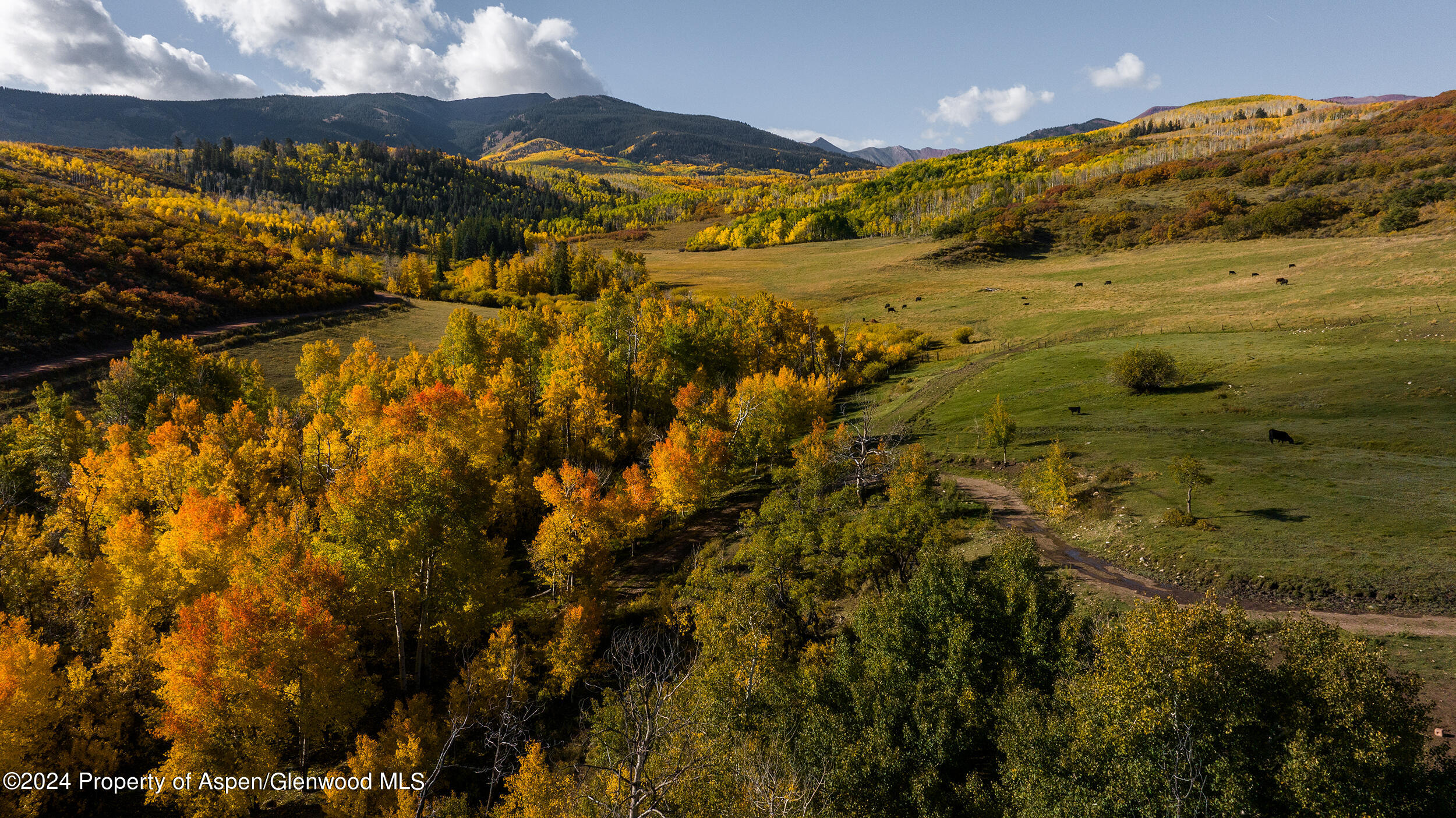 1012 Monastery Road Snowmass CO 81654