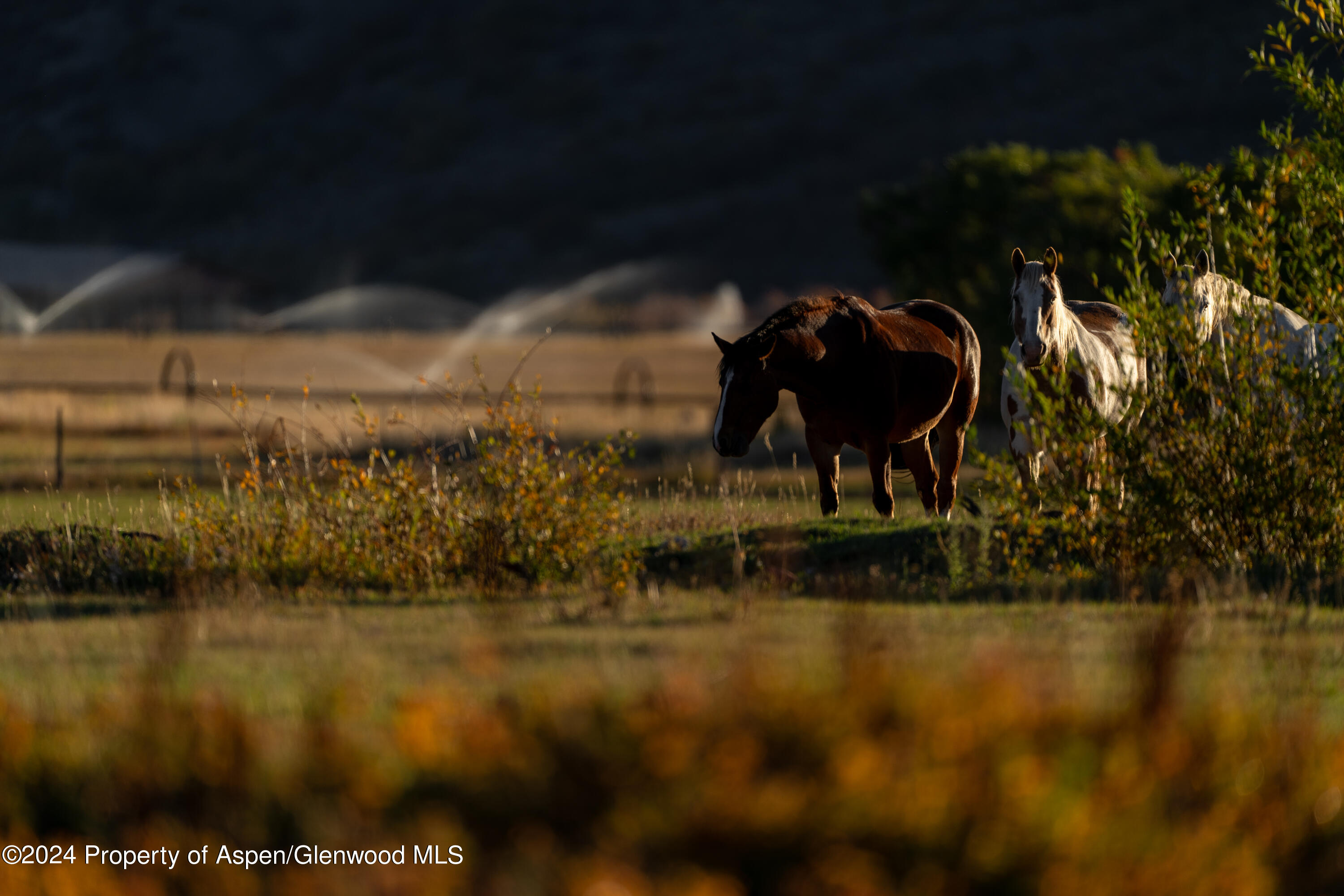 1012 Monastery Road Snowmass CO 81654