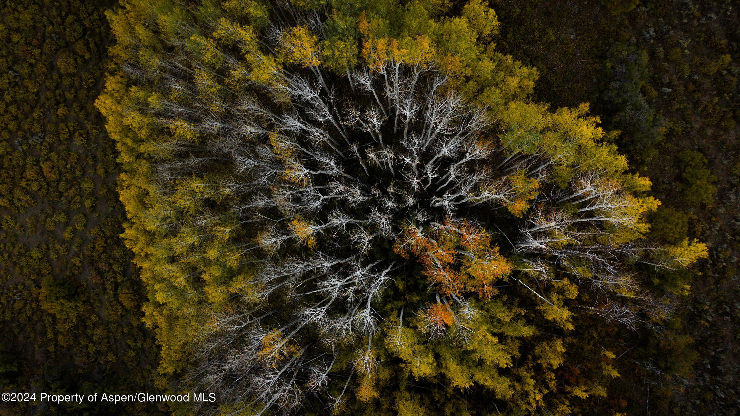 1012 Monastery Road Snowmass CO 81654