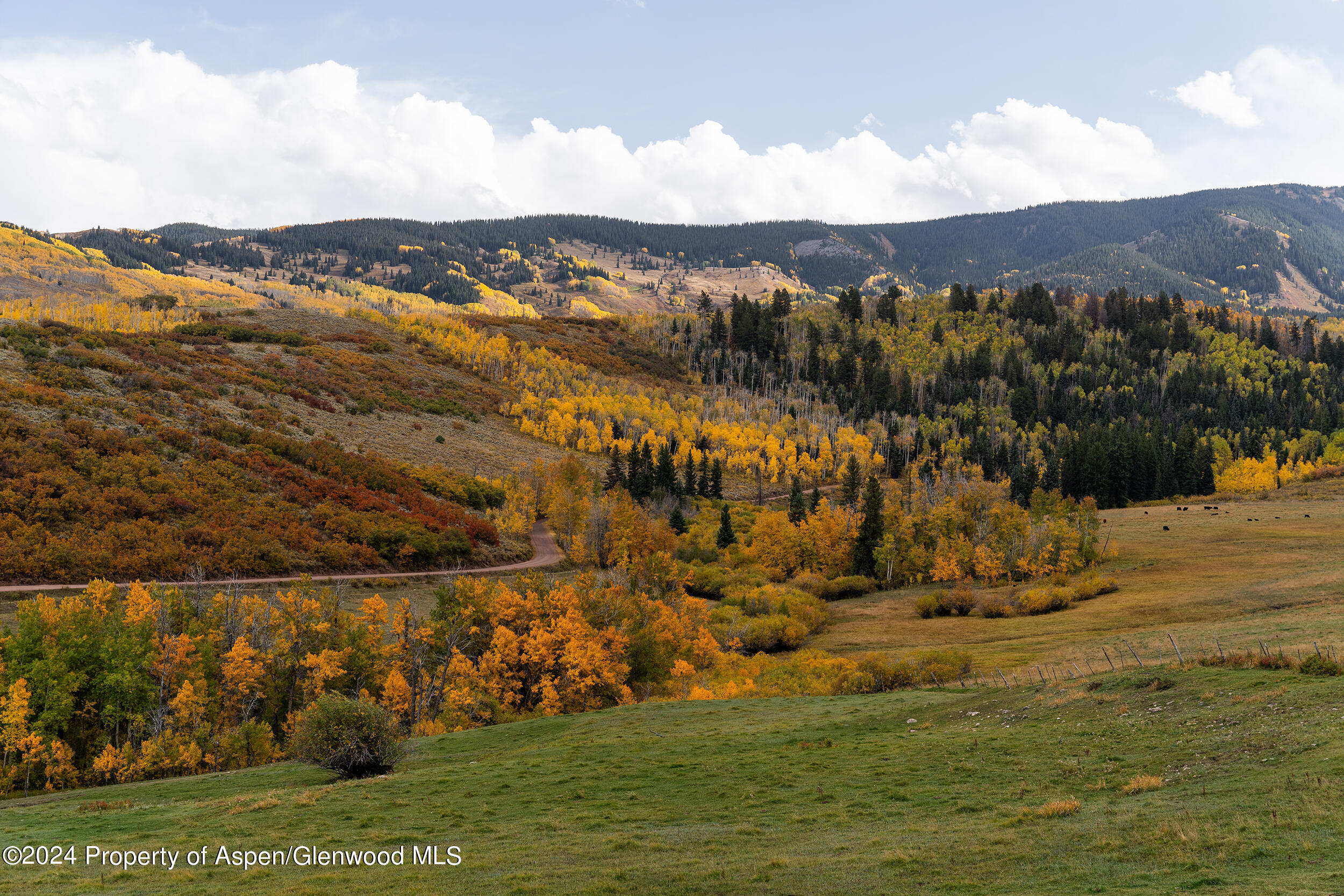 1012 Monastery Road Snowmass CO 81654