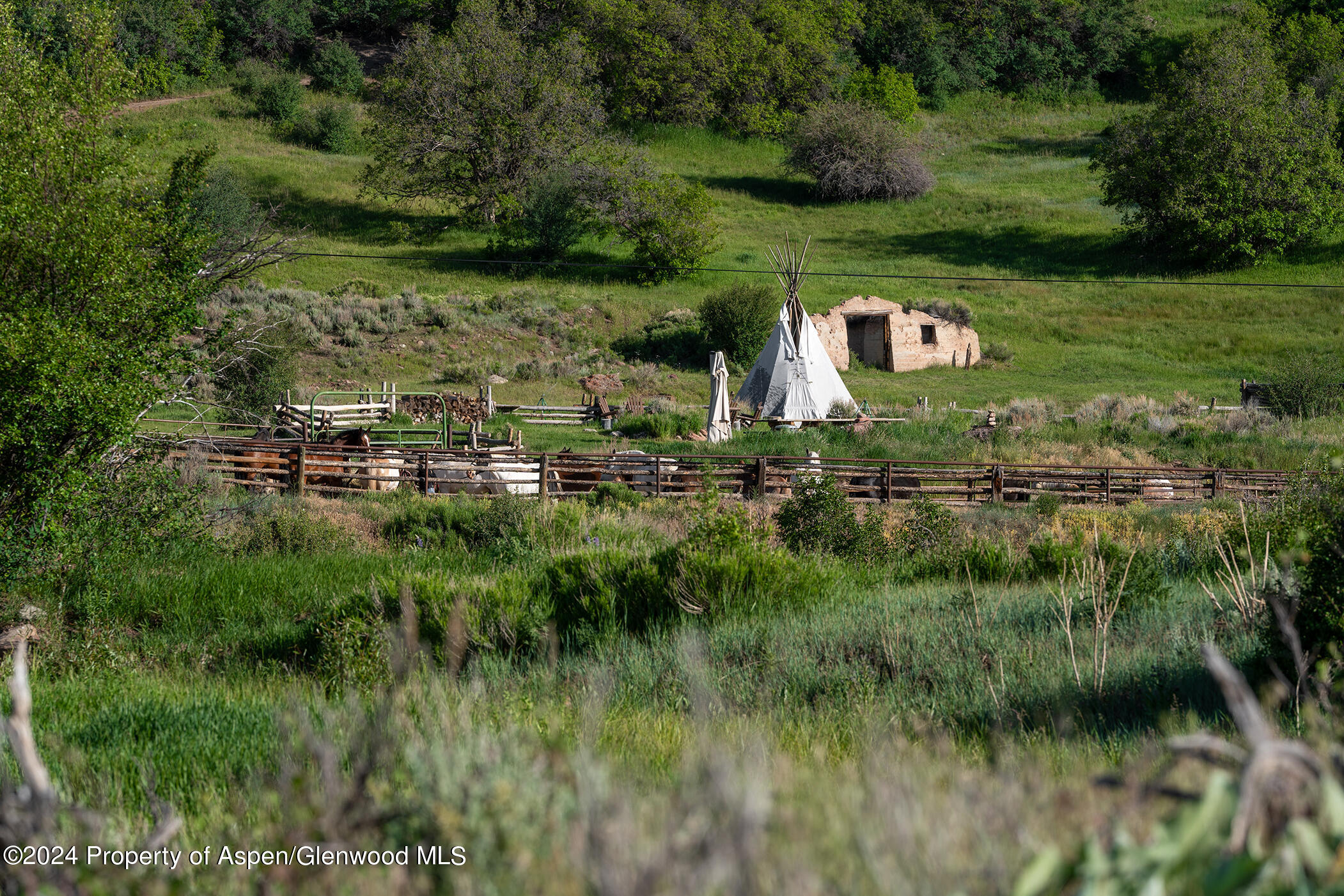 1012 Monastery Road Snowmass CO 81654