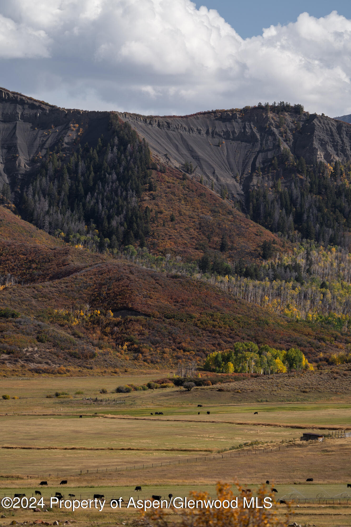 1012 Monastery Road Snowmass CO 81654