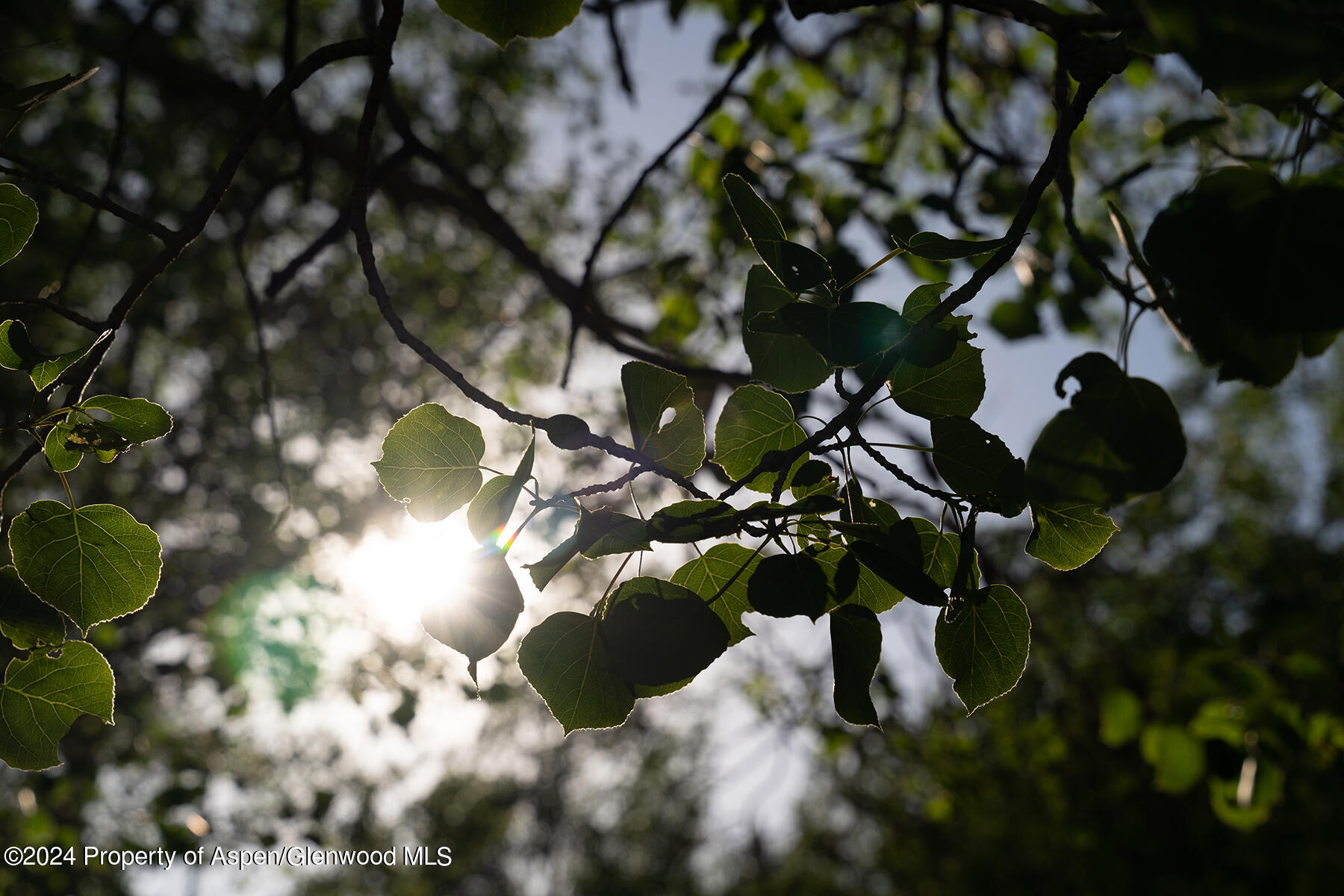 1012 Monastery Road Snowmass CO 81654