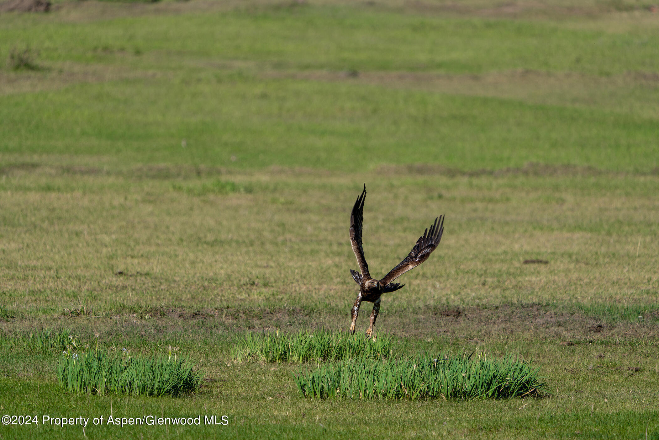 1012 Monastery Road Snowmass CO 81654