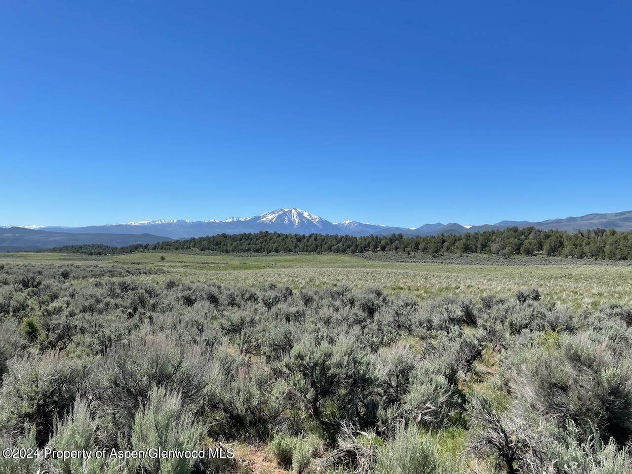 3426 Elk Springs Drive Glenwood Springs CO 81601