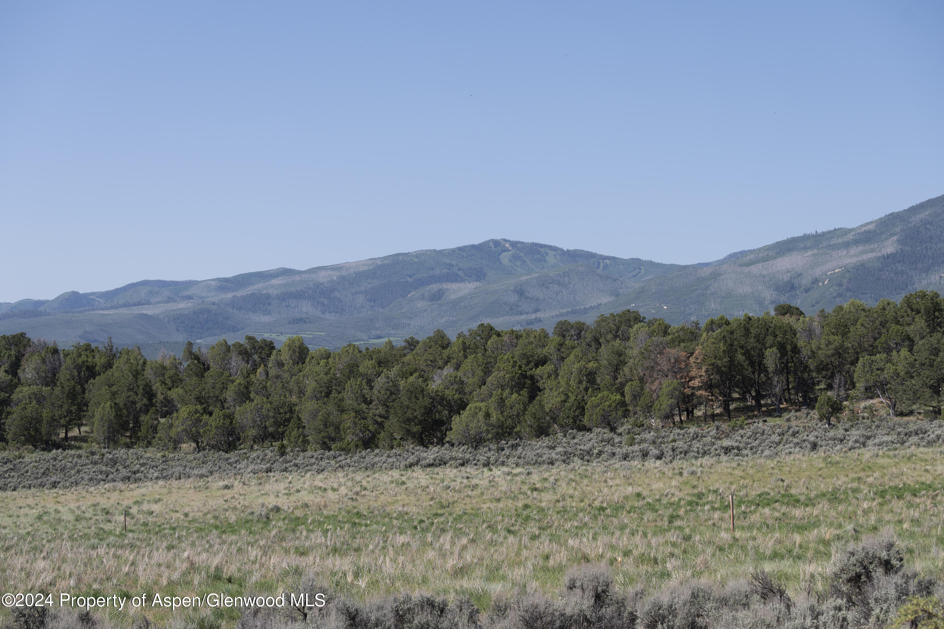 3426 Elk Springs Drive Glenwood Springs CO 81601