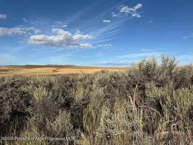 Tbd County Road 103 Craig CO 81625