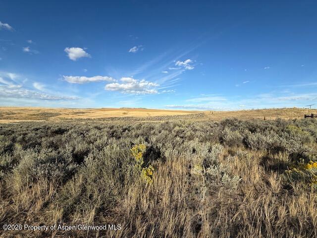 Tbd County Road 103 Craig CO 81625