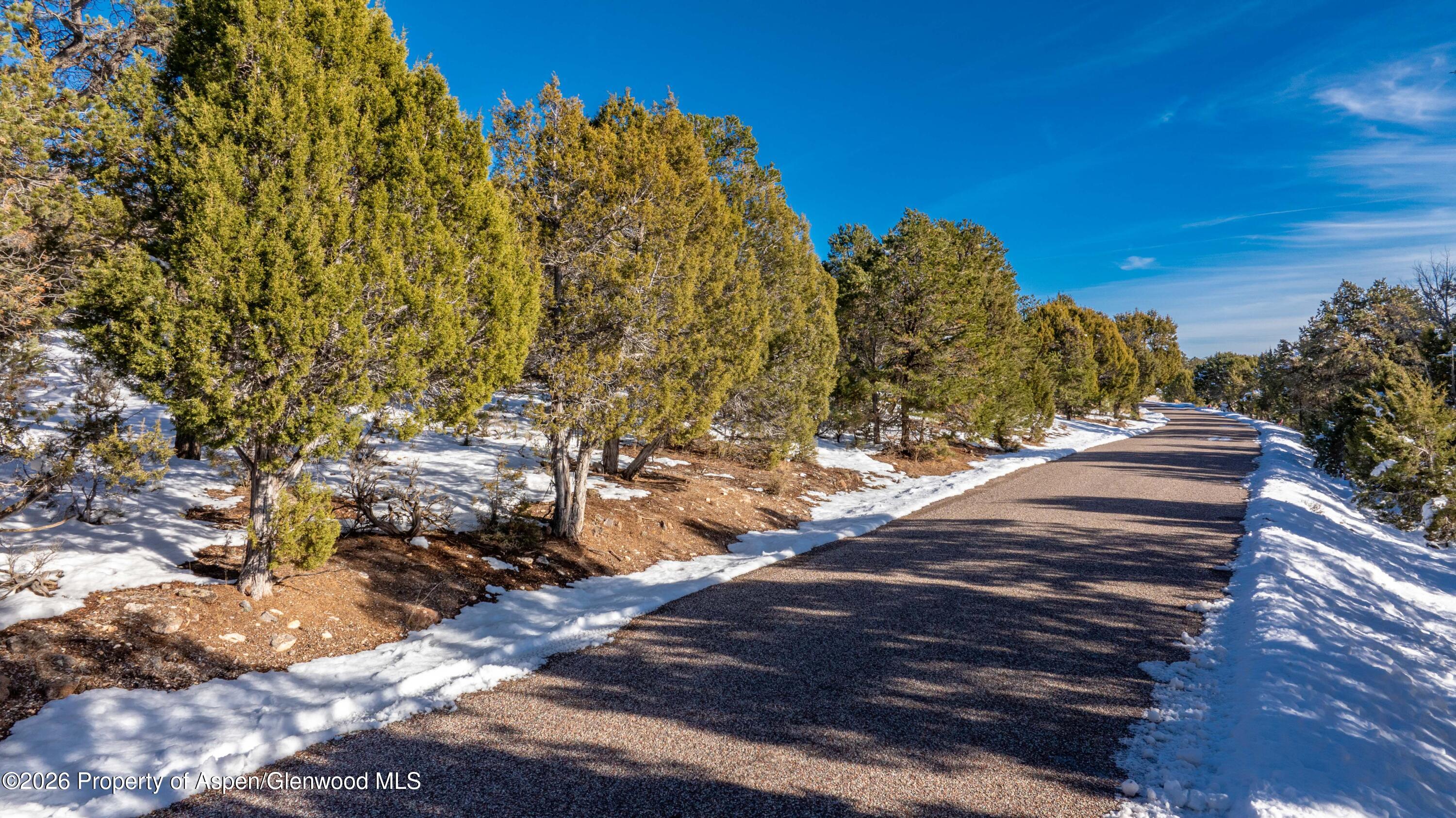 137 Cedar Cove Glenwood Springs CO 81601