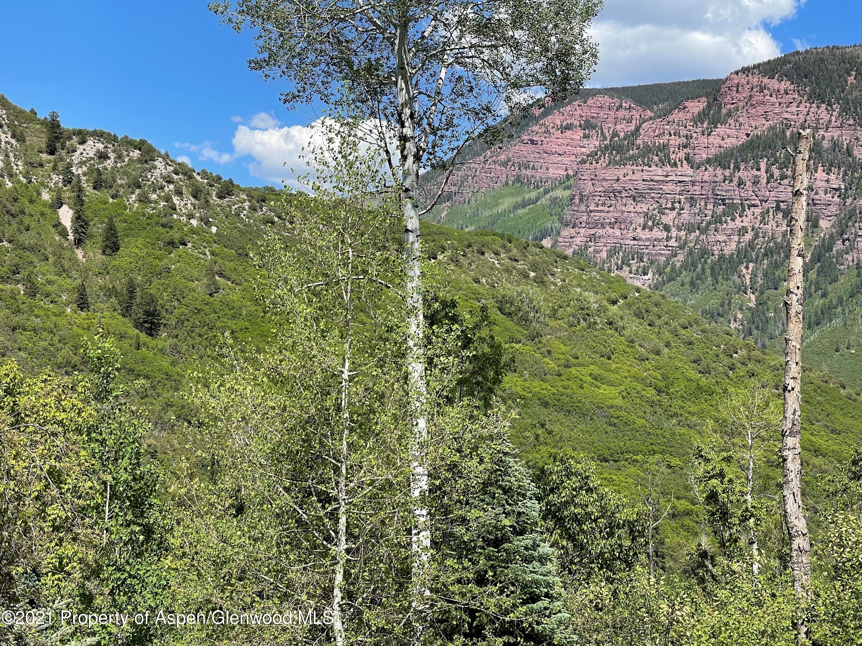 Tbd Coal Creek Road Redstone CO 81623