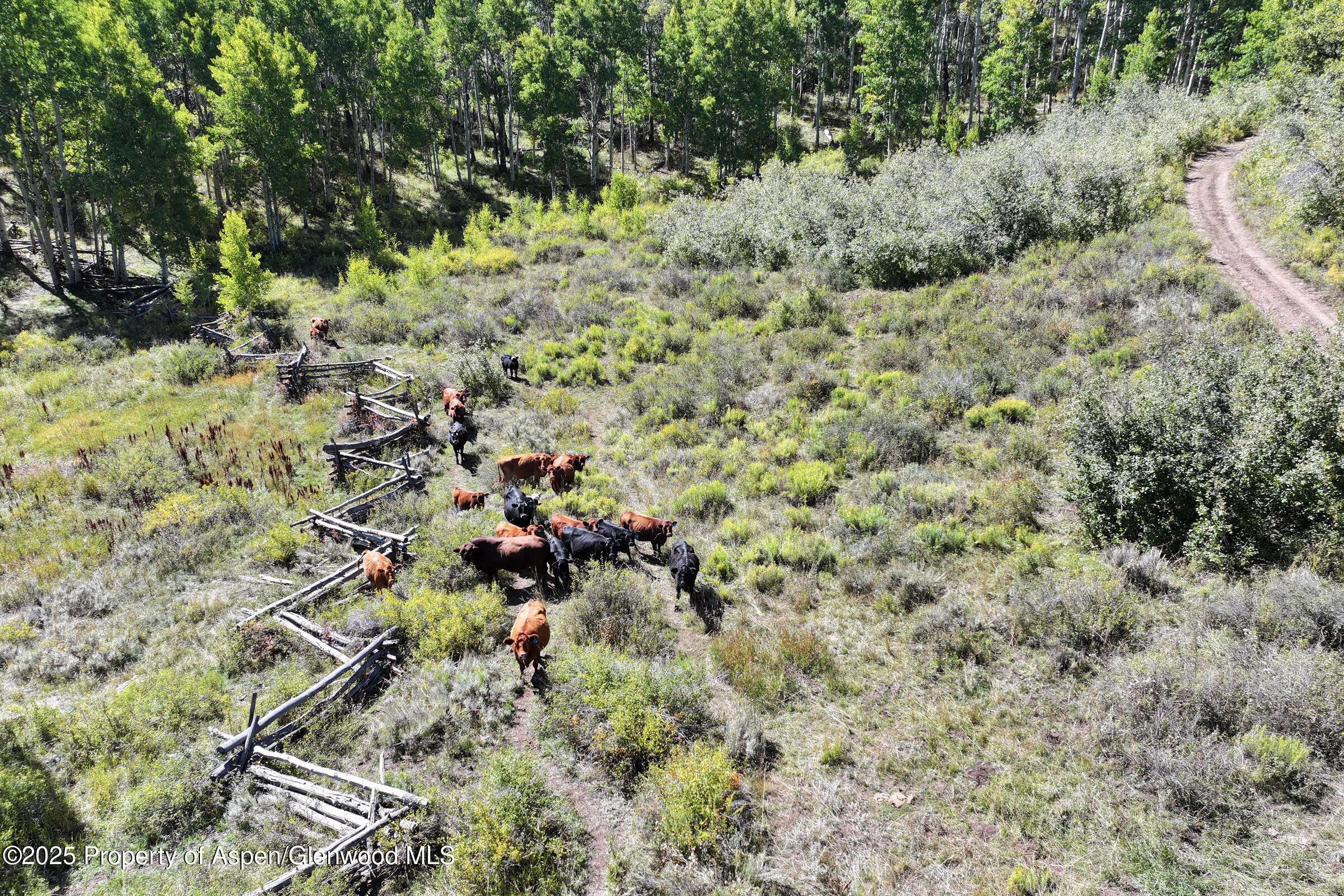 Tbd Divide Road Whitewater CO 81527