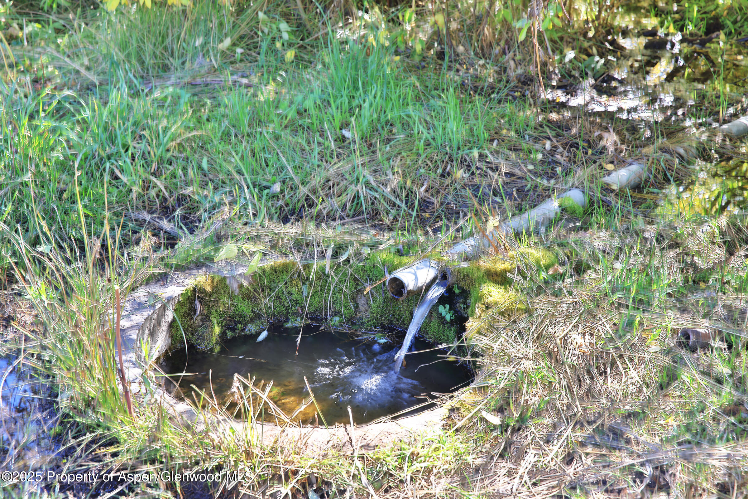 Tbd Divide Road Whitewater CO 81527