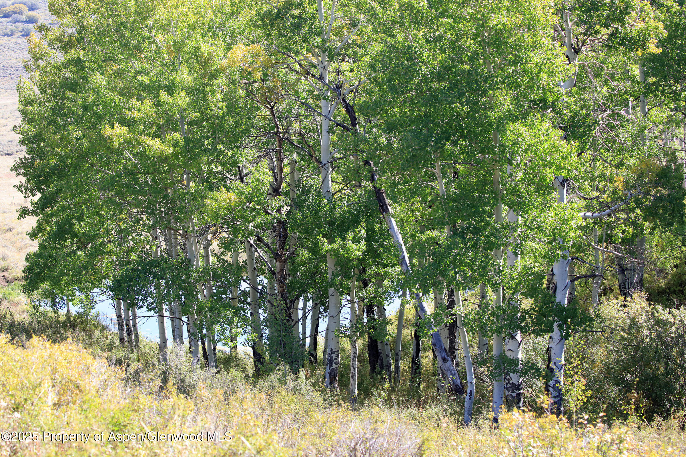 Tbd Divide Road Whitewater CO 81527