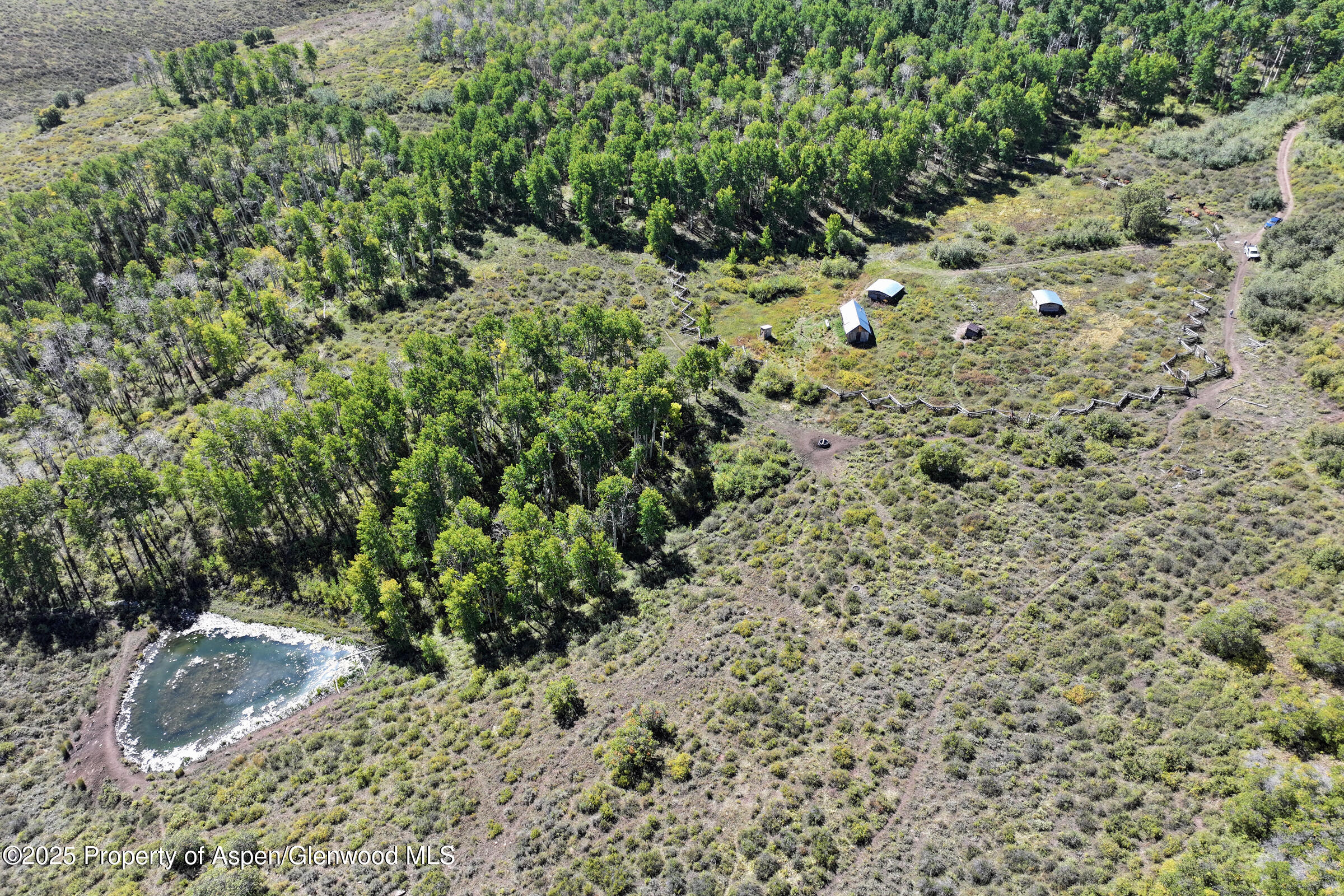 Tbd Divide Road Whitewater CO 81527