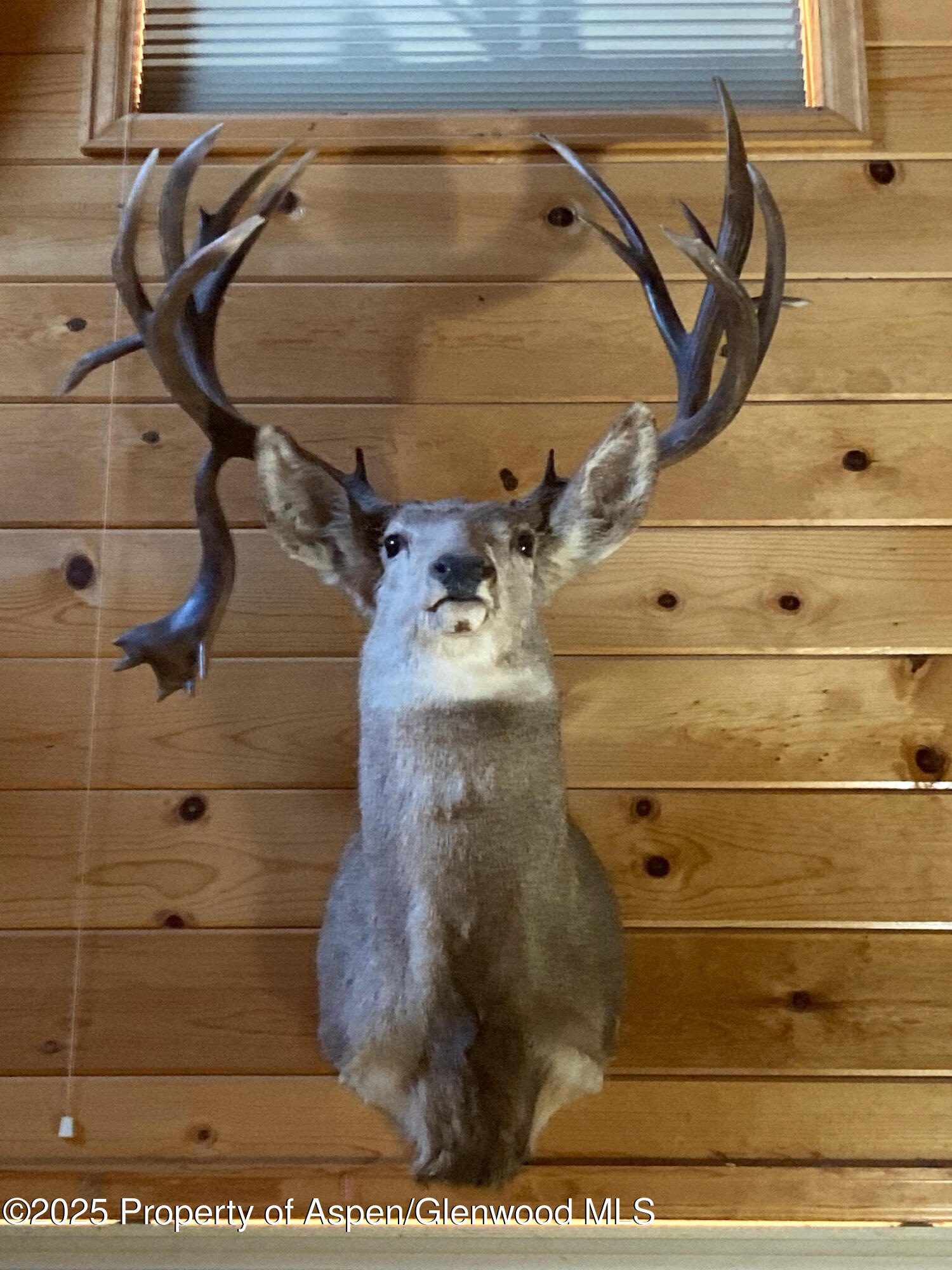 Tbd Divide Road Whitewater CO 81527