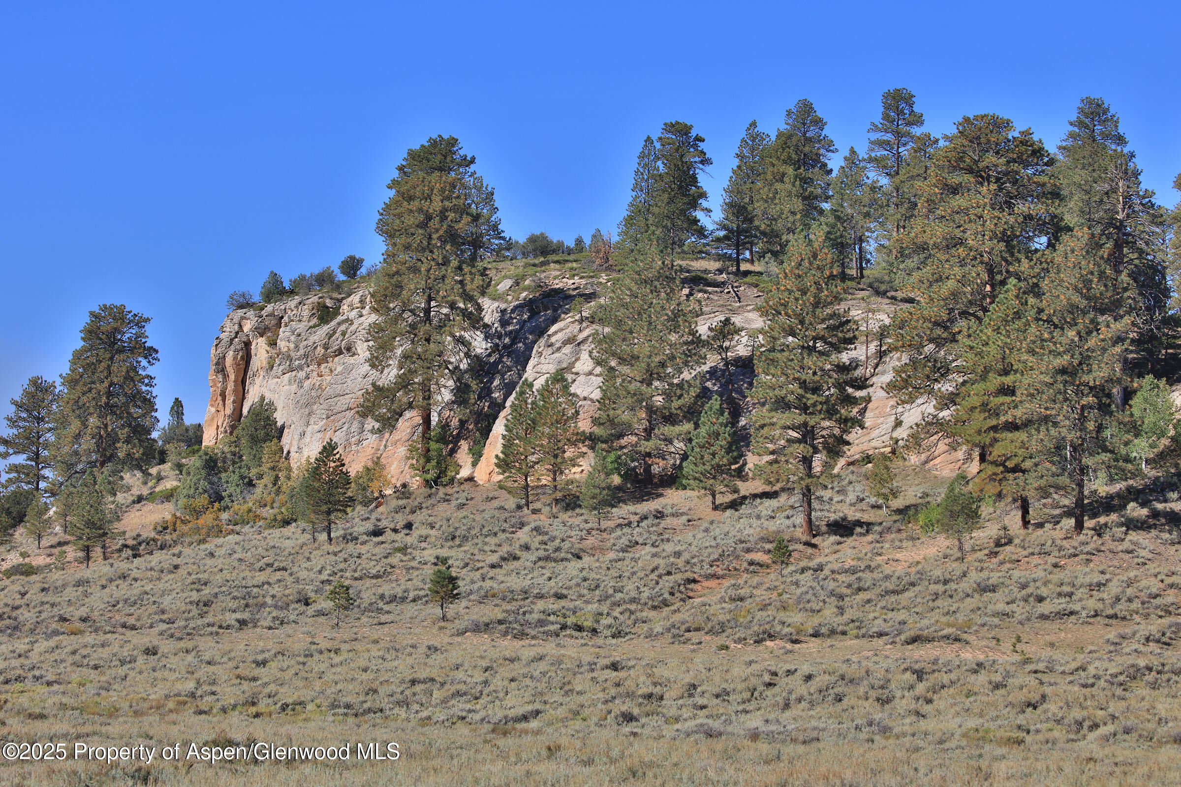 Tbd Divide Road Whitewater CO 81527