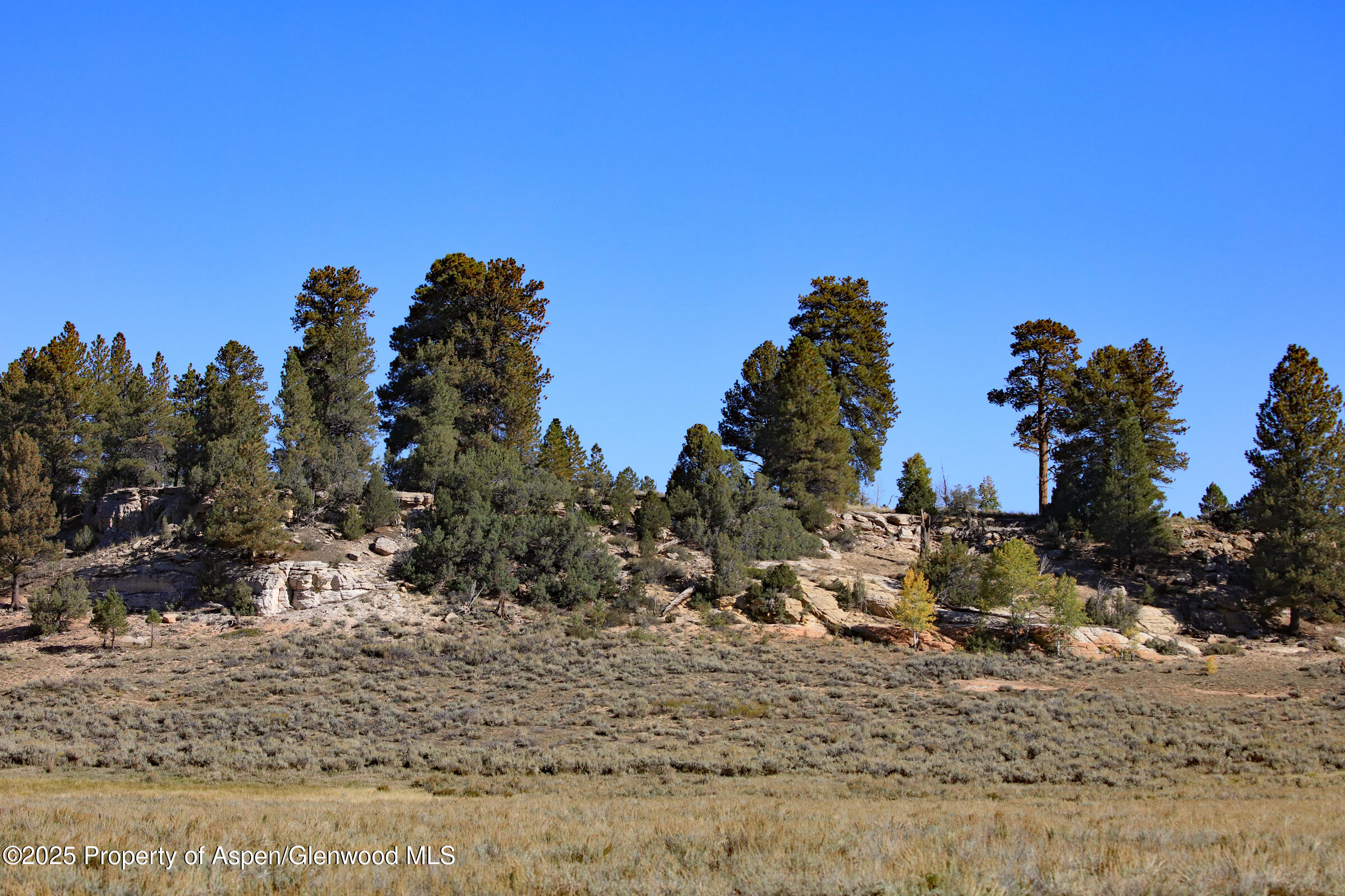 Tbd Divide Road Whitewater CO 81527