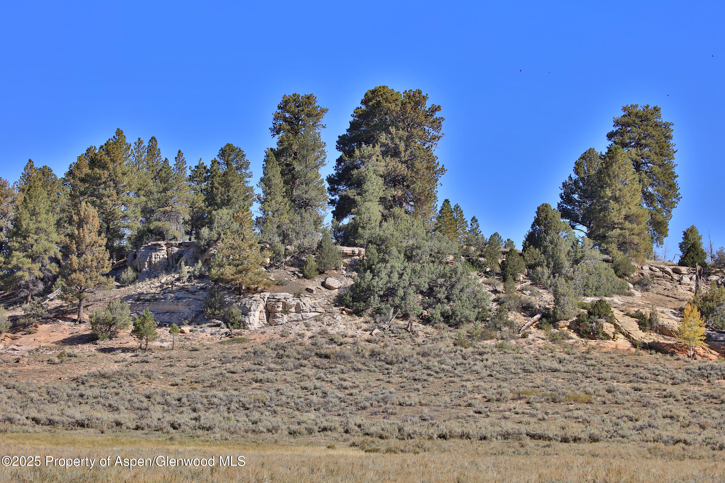 Tbd Divide Road Whitewater CO 81527