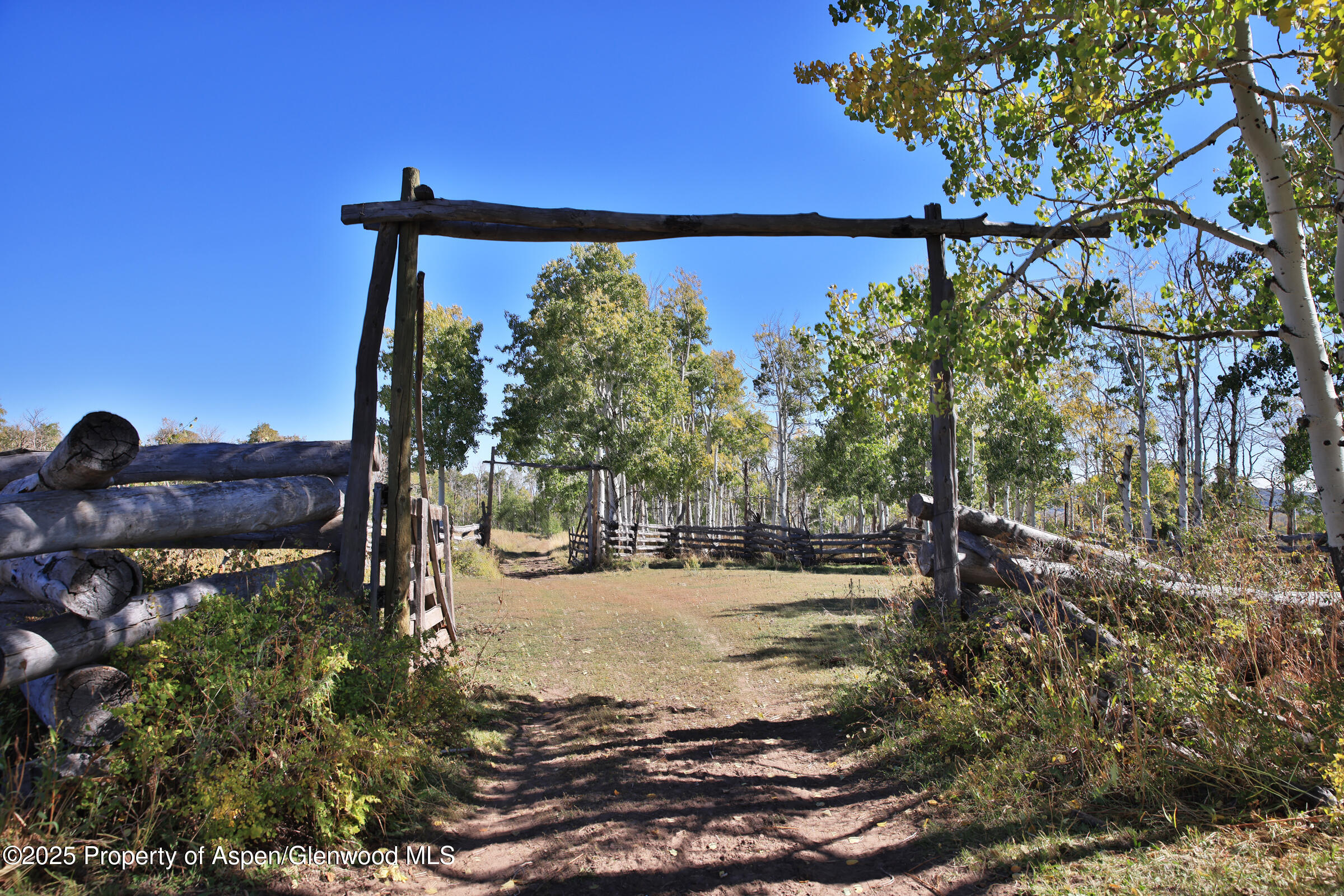 Tbd Divide Road Whitewater CO 81527