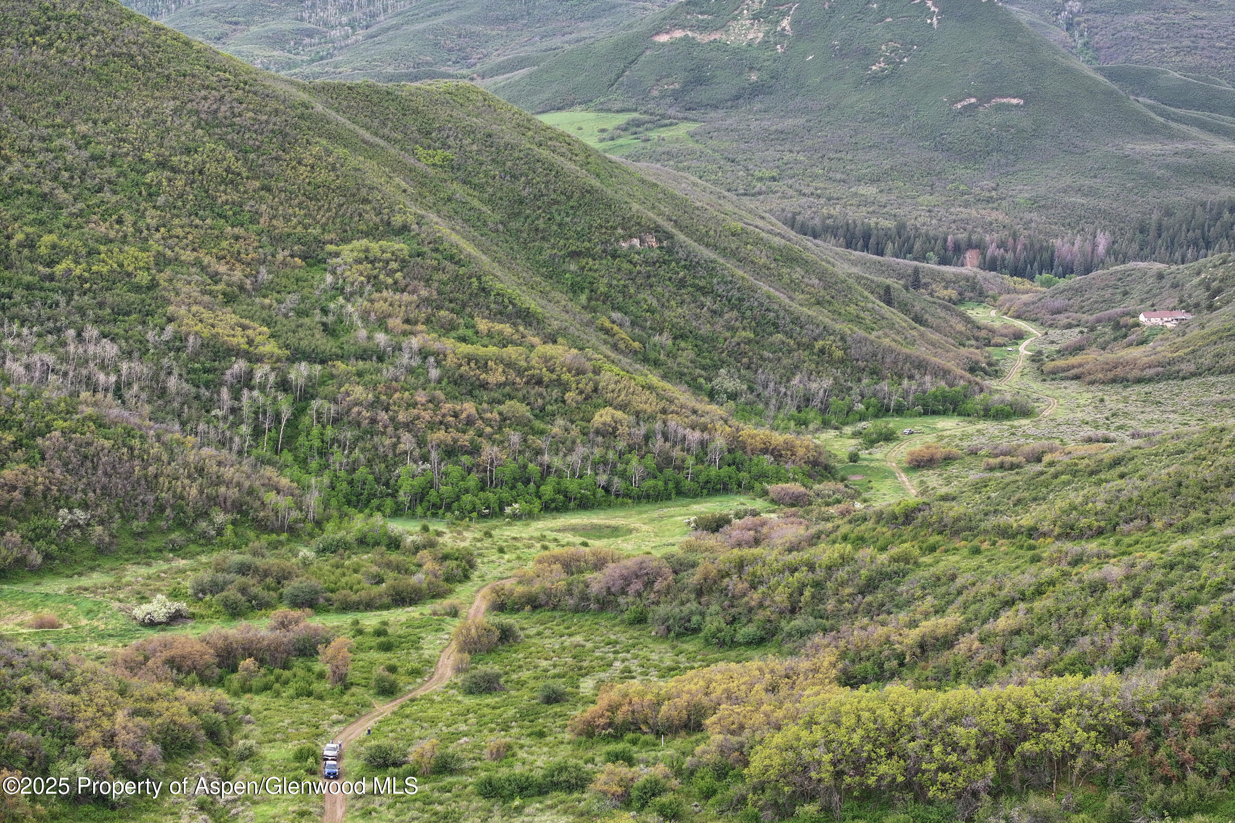 Tbd County Road 313 Silt CO 81652