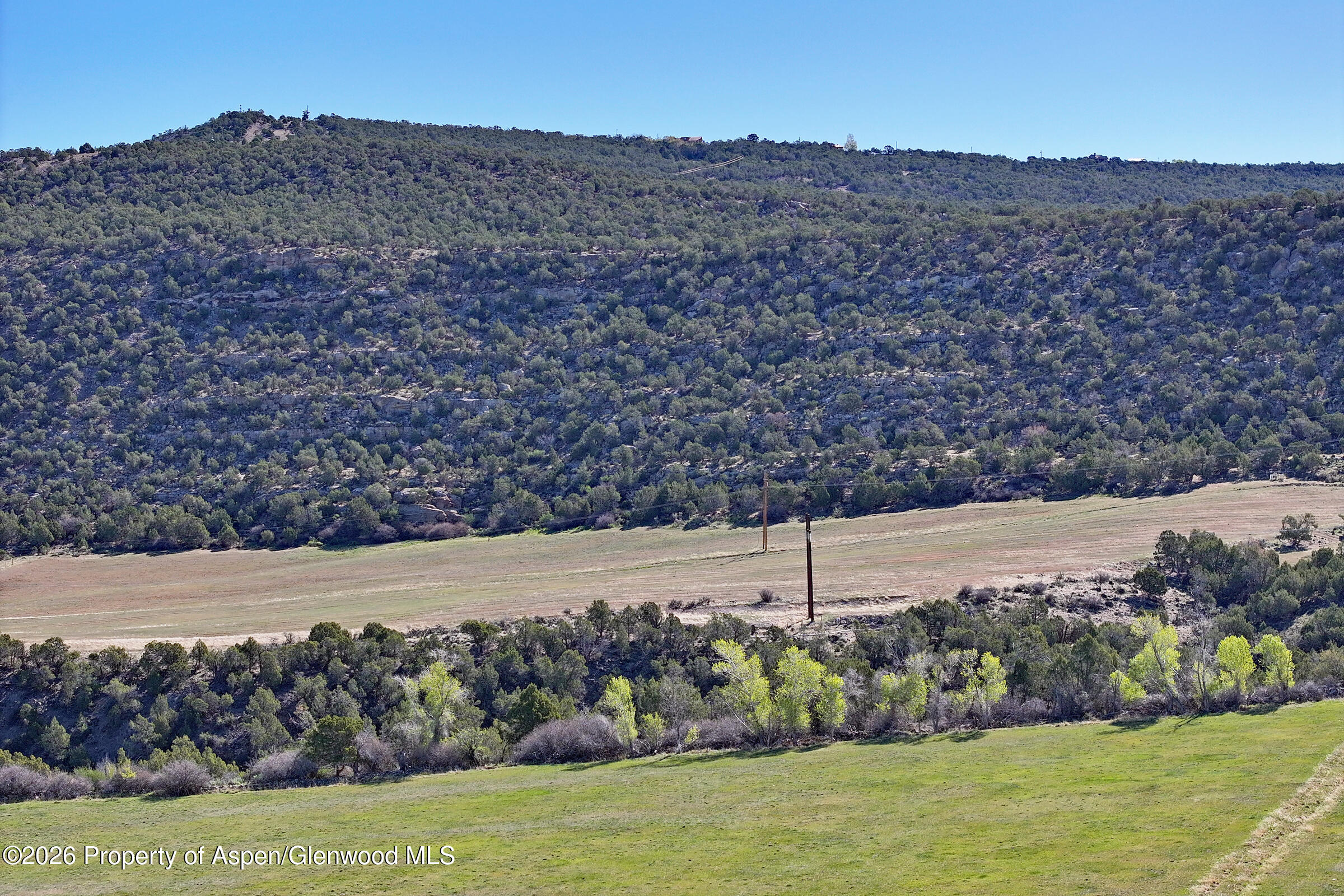 12482 54 7/10 Road Molina CO 81646