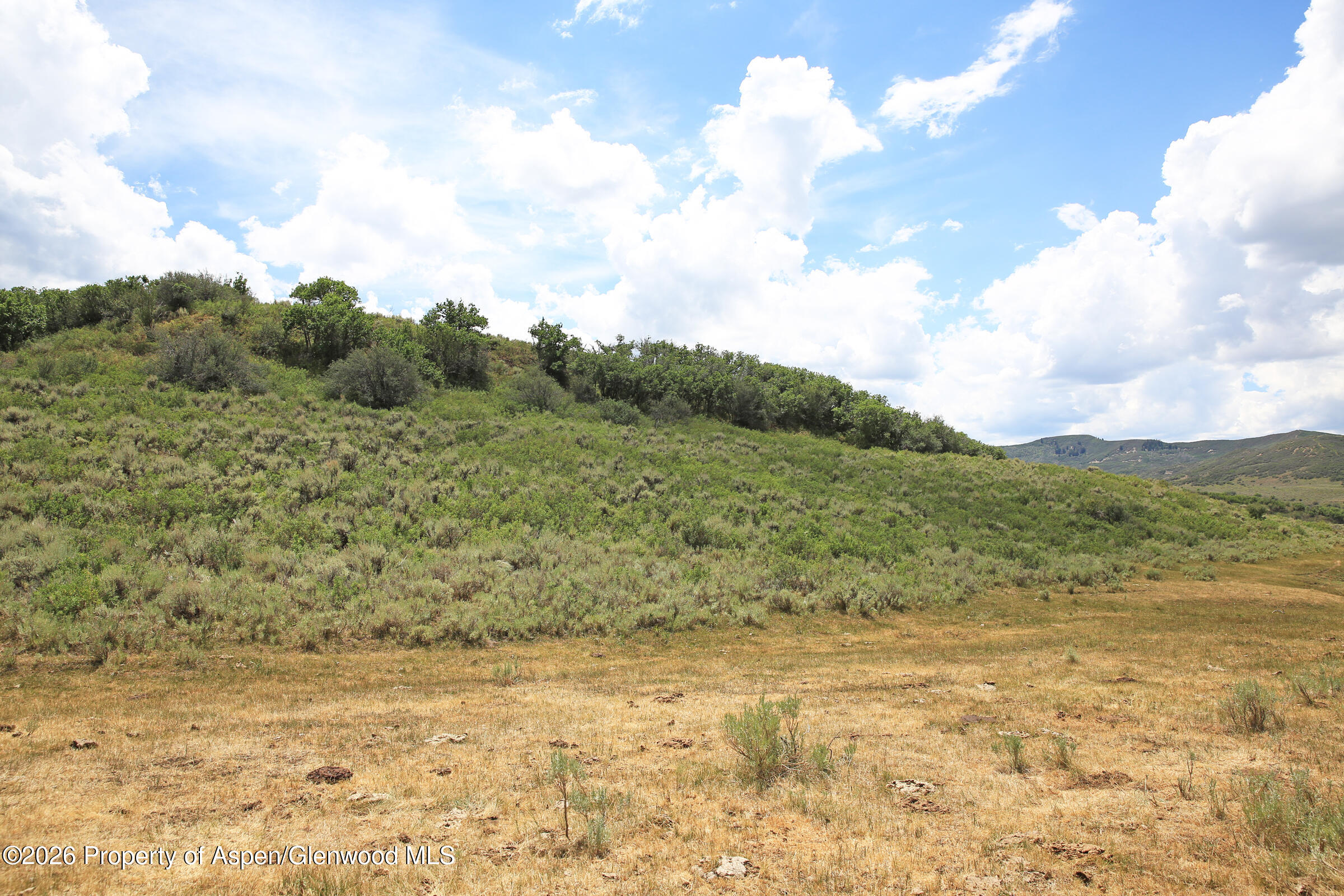 Tbd Harrison Creek Road Collbran CO 81624