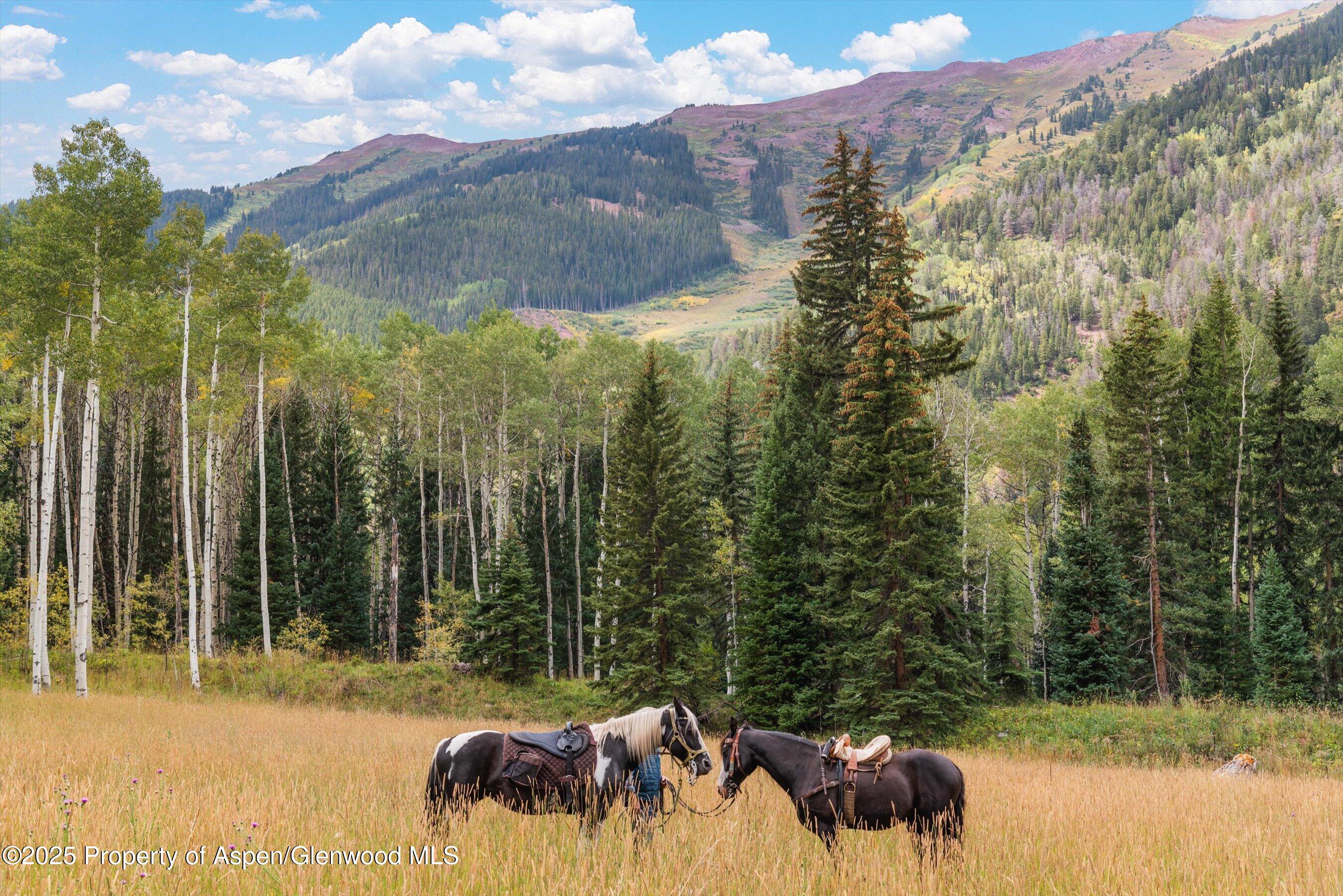 Tbd Conundrum Creek Road Aspen CO 81611