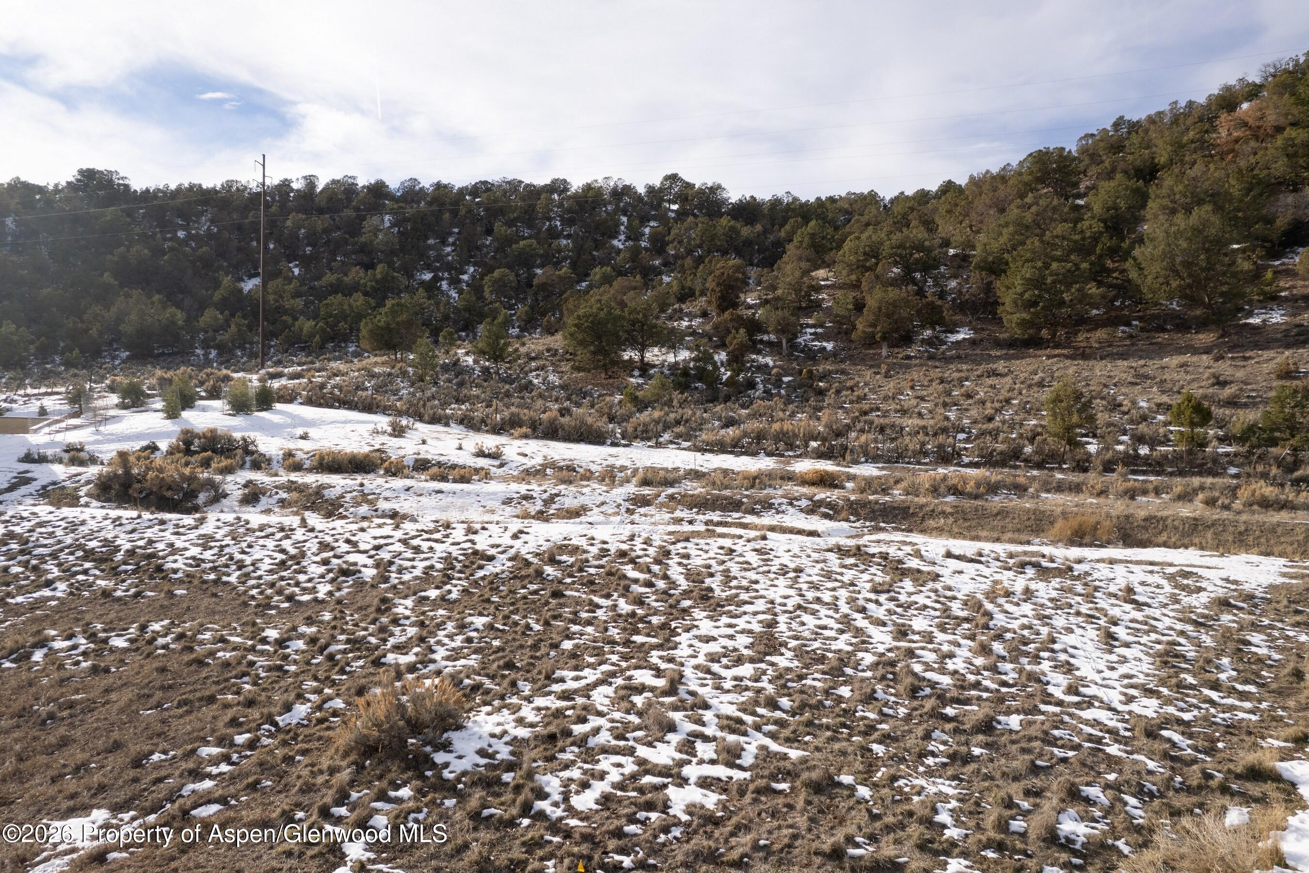 741 Perry Ridge Carbondale CO 81623