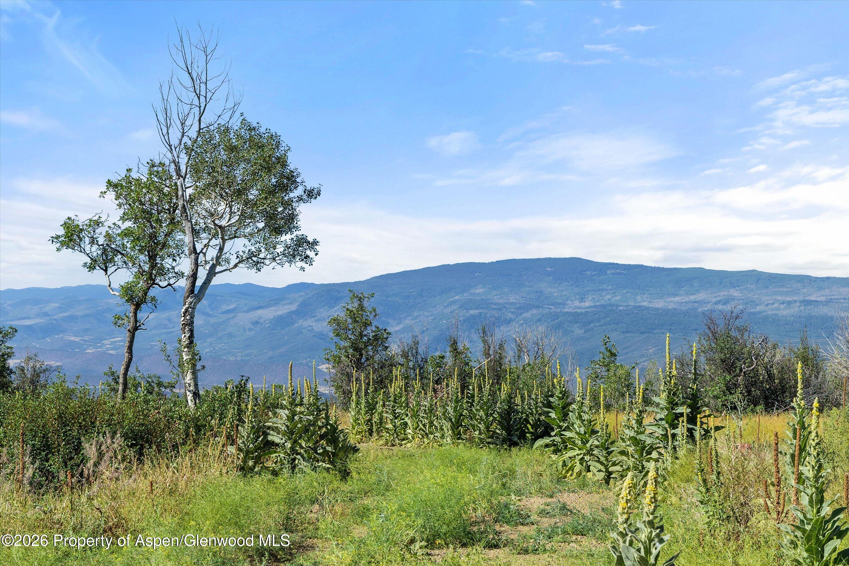 4080 County Road 121 Glenwood Springs CO 81601