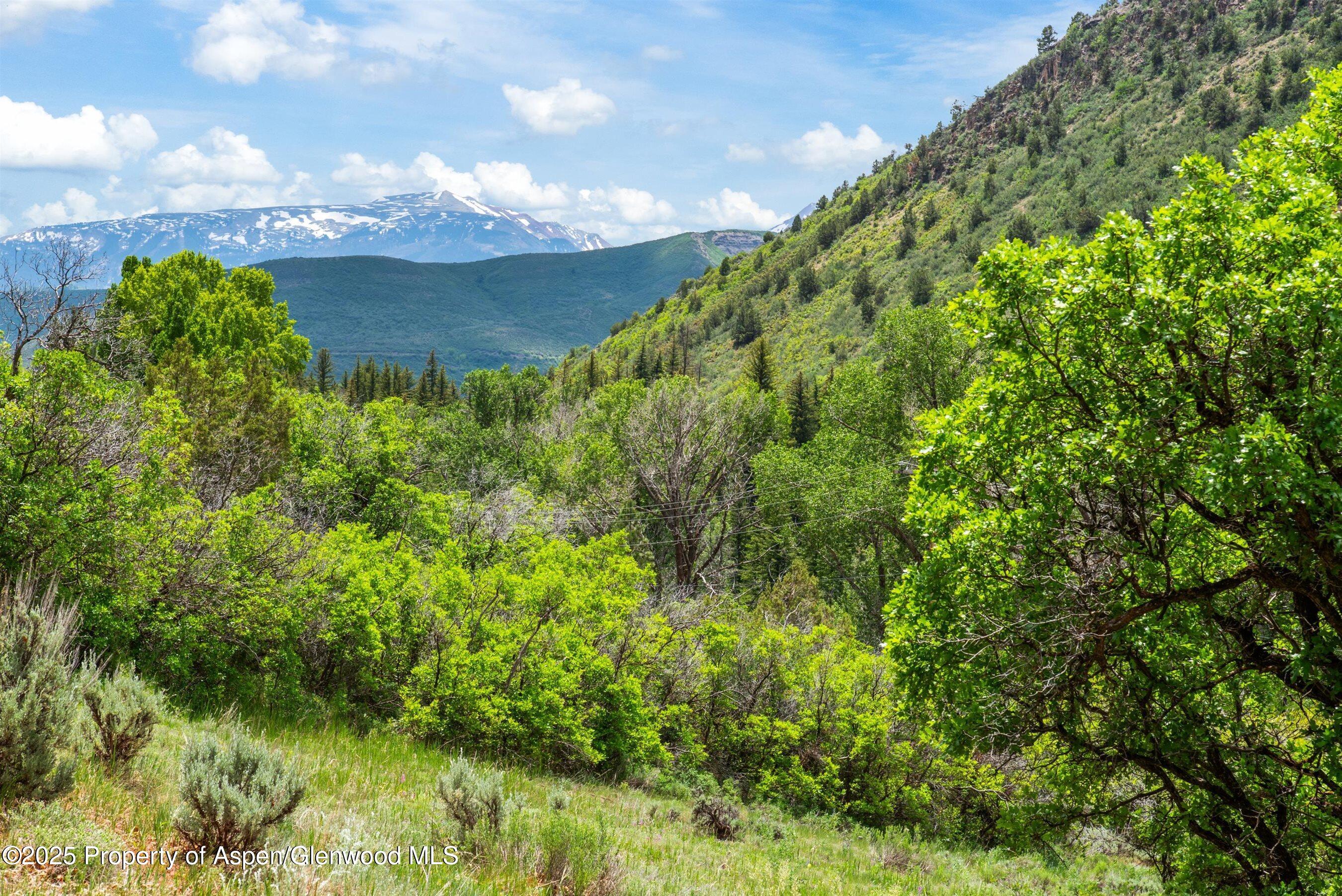 354 Snowmass Creek Road Snowmass CO 81654